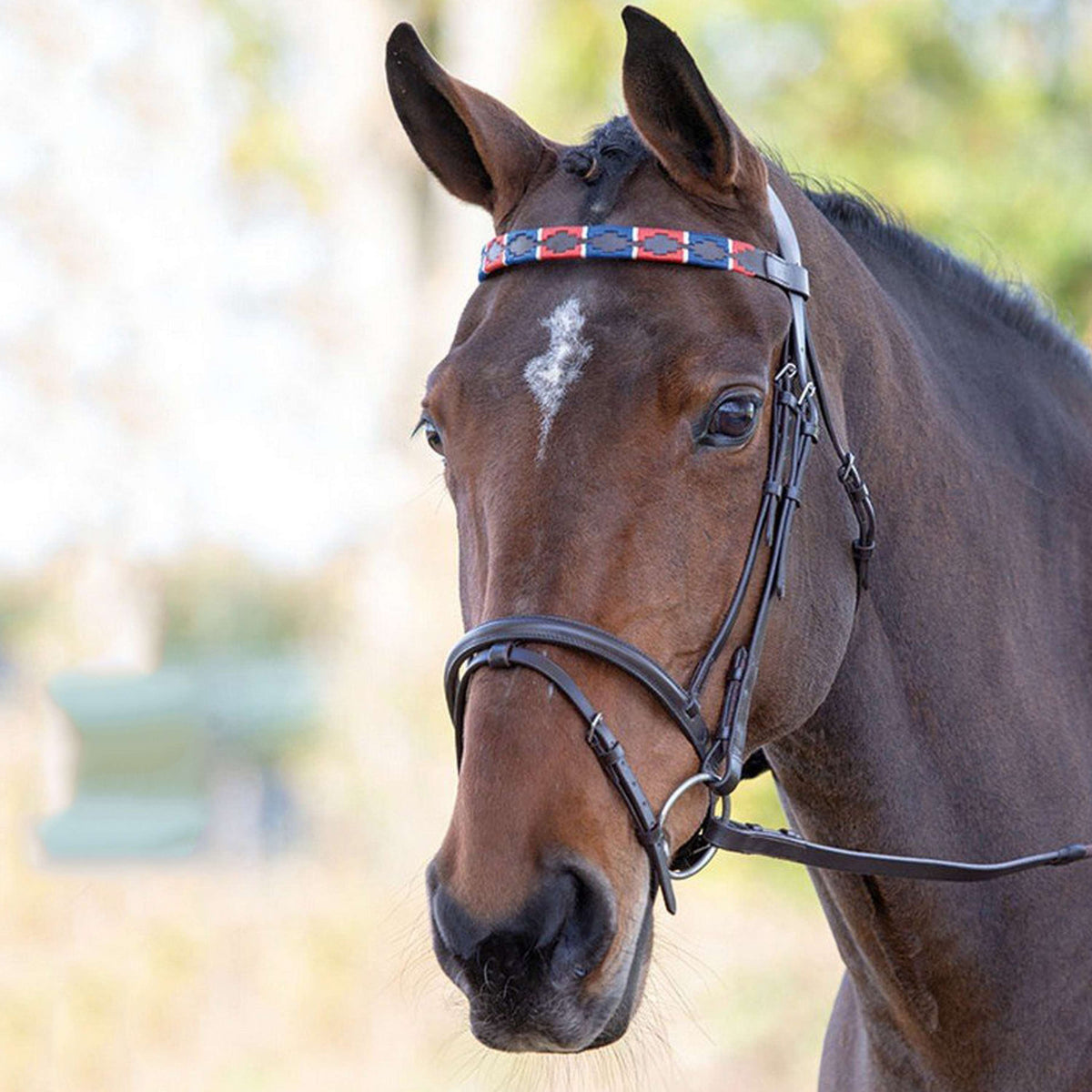 Blenheim Browband Polo Leather Red/Navy