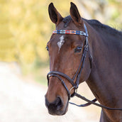 Blenheim Browband Polo Leather Turquise/Red/Orange/Blue