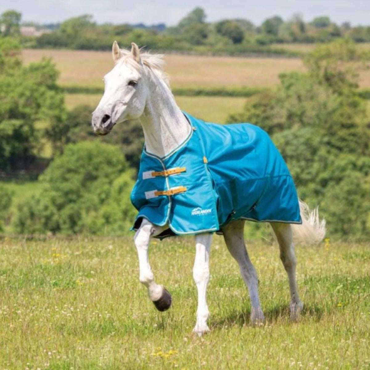 Highlander Original Rain Rug Turnout Lite 0g Teal