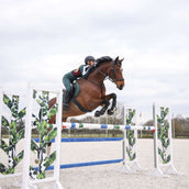 Aubrion Riding Legging Team Winter Green