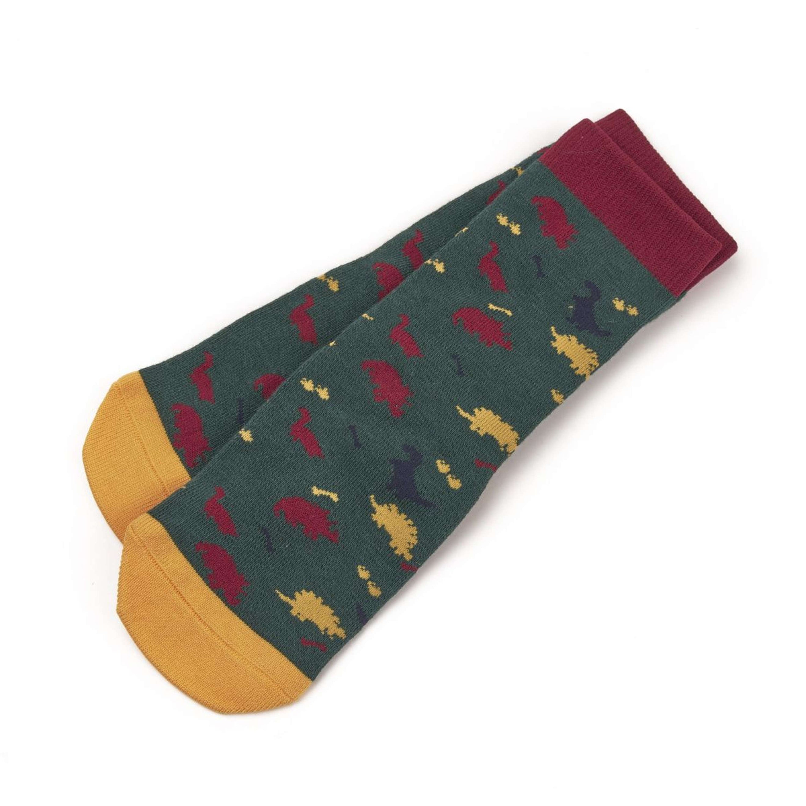 Tikaboo Socks Long Dinosaur Print