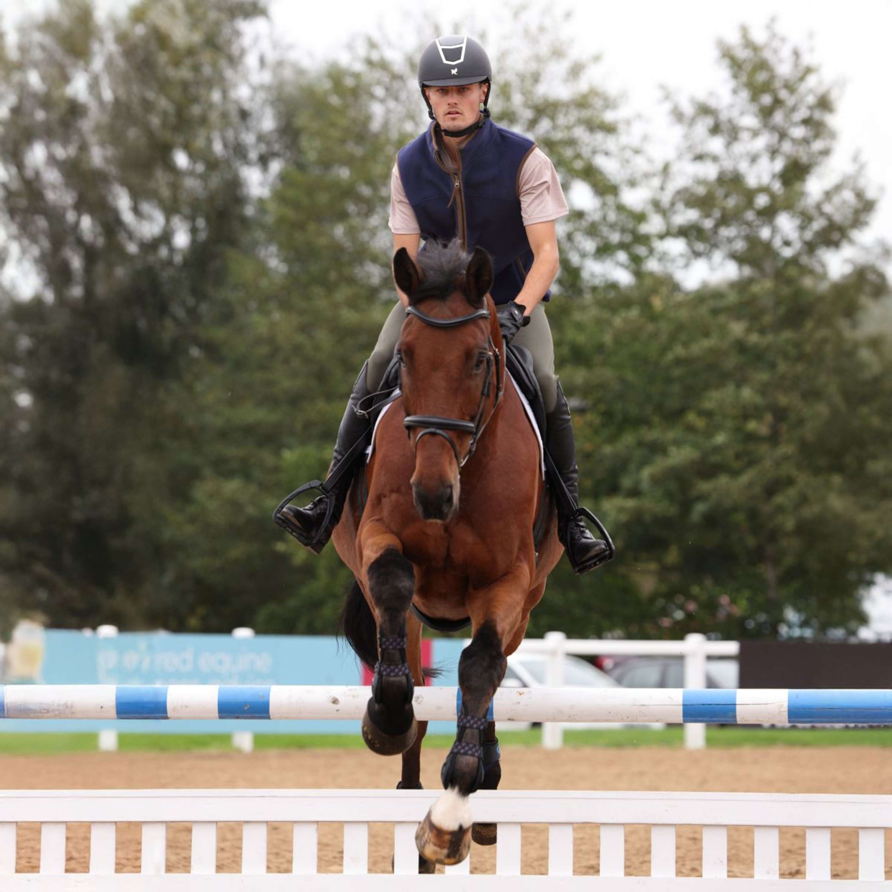 Aubrion by Shires Bodywarmer Original Fleece Men Navy