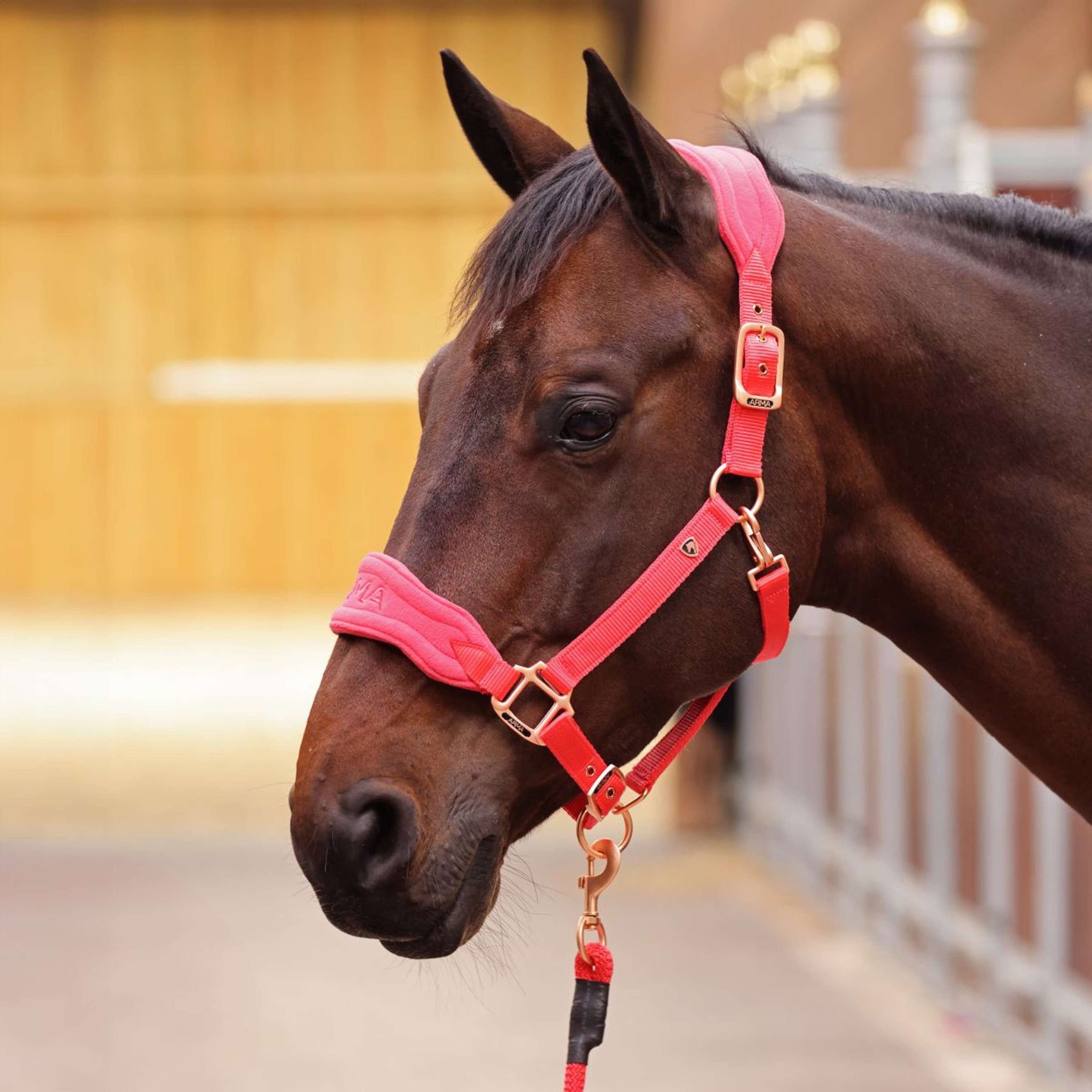 Arma by Shires Head Collar Set Comfy Coral