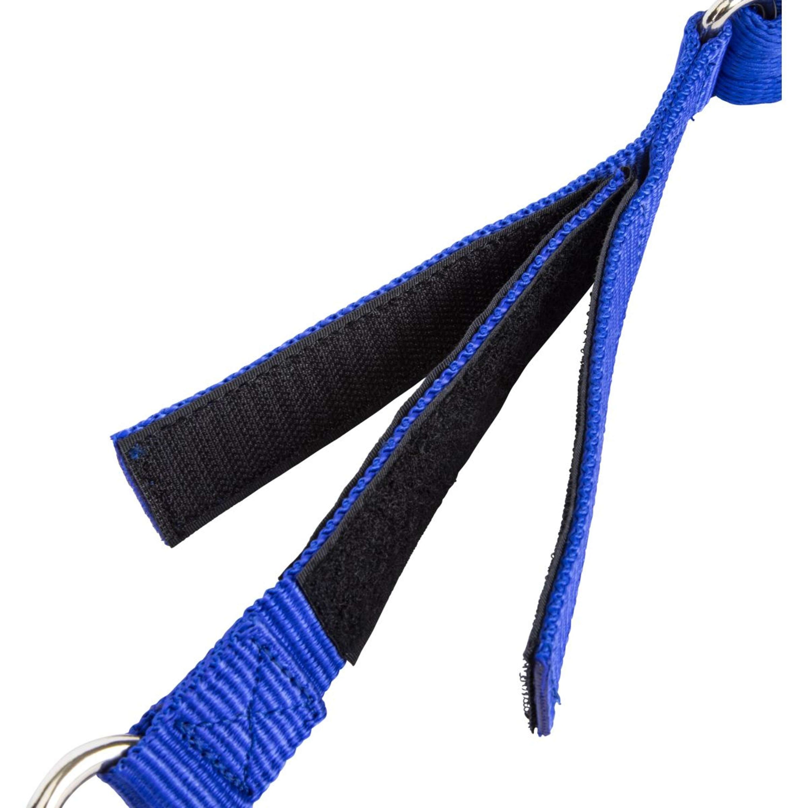 Arma by Shires Trailer Tie Breakaway Blue