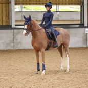 Aubrion Riding Legging Eltar Full Grip Navy