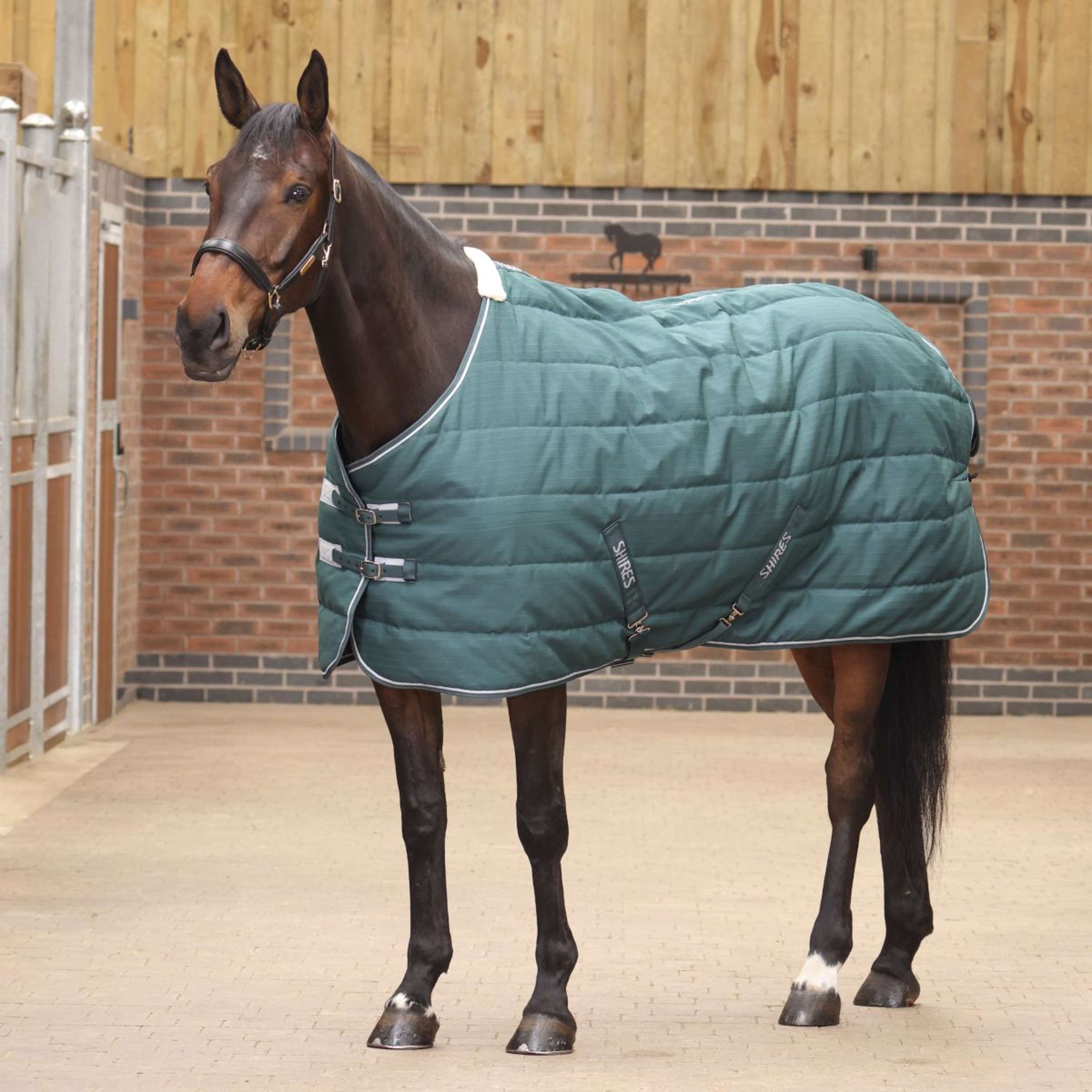 Tempest Original Stable Rug 200g Emerald