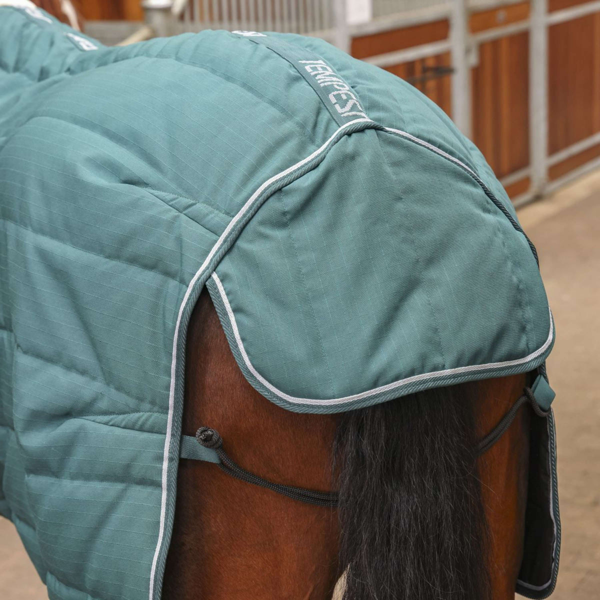 Tempest Original Stable Rug 200g Emerald