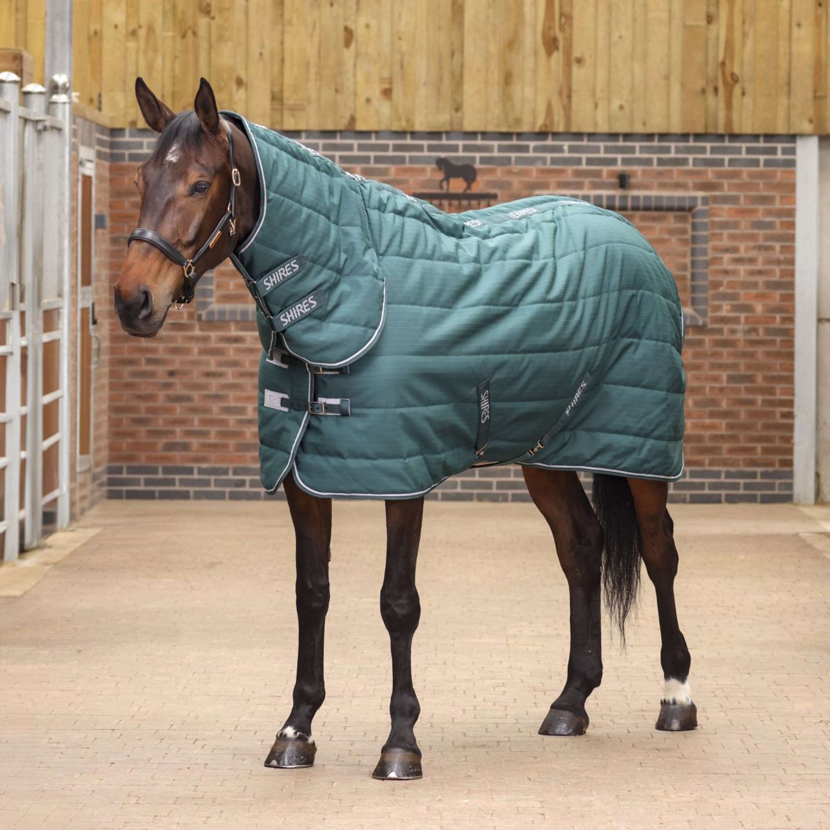 Tempest Original Stable Rug 200g Combo Emerald