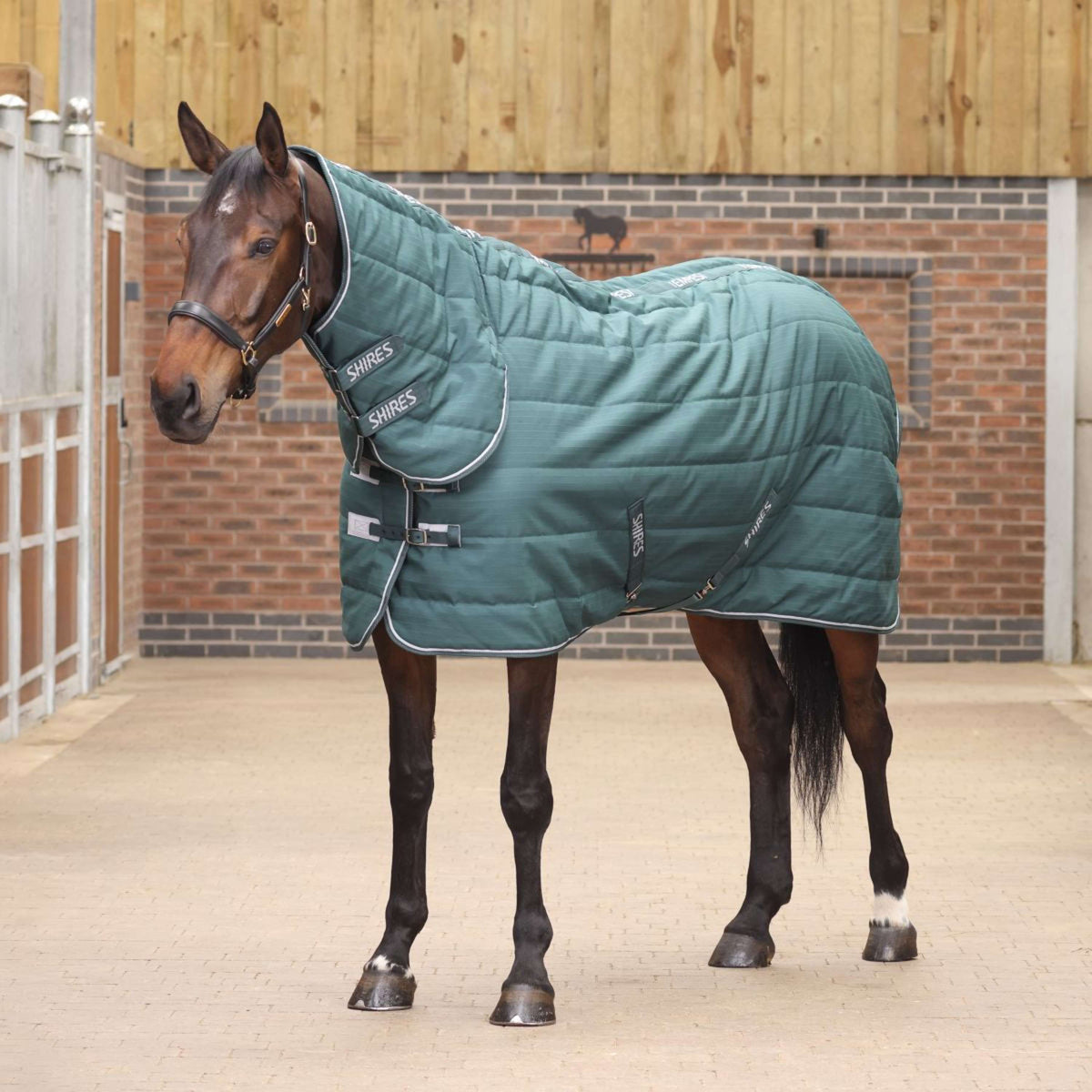 Tempest Original Stable Rug 200g with Hood Emerald