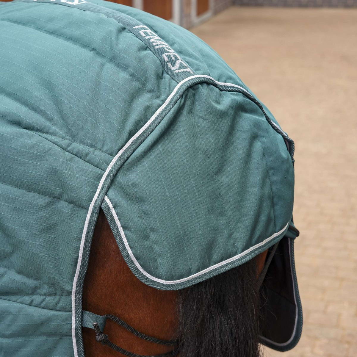 Tempest Original Stable Rug 200g with Hood Emerald