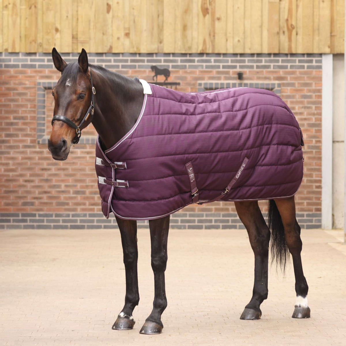 Tempest Original Stable Rug 300g Burgundy