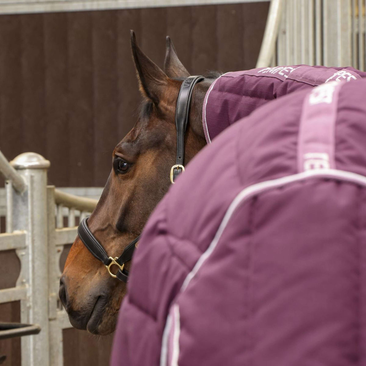 Tempest Original Stable Rug 300g Combo Burgundy