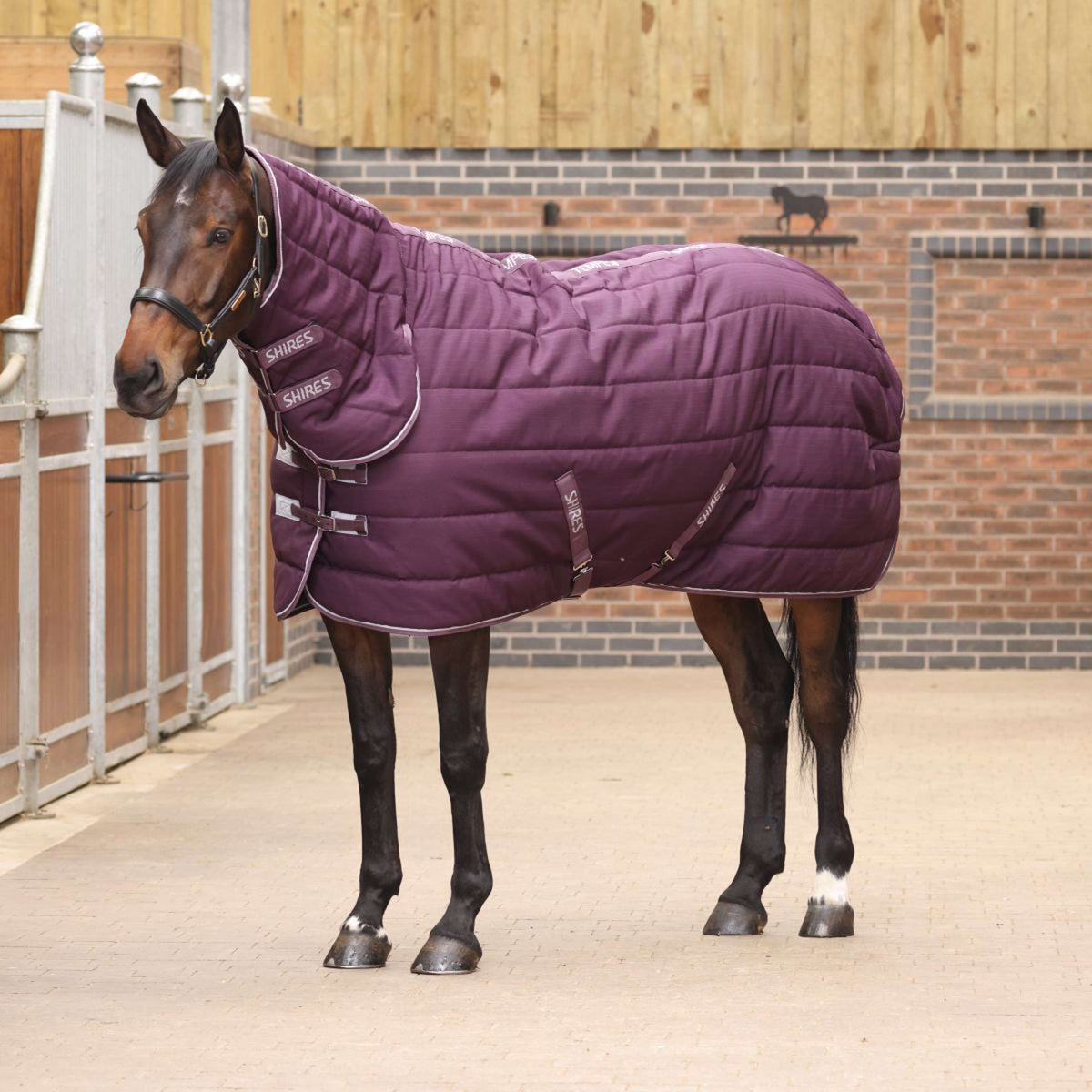 Tempest Original Stable Rug 300g with Hood Burgundy