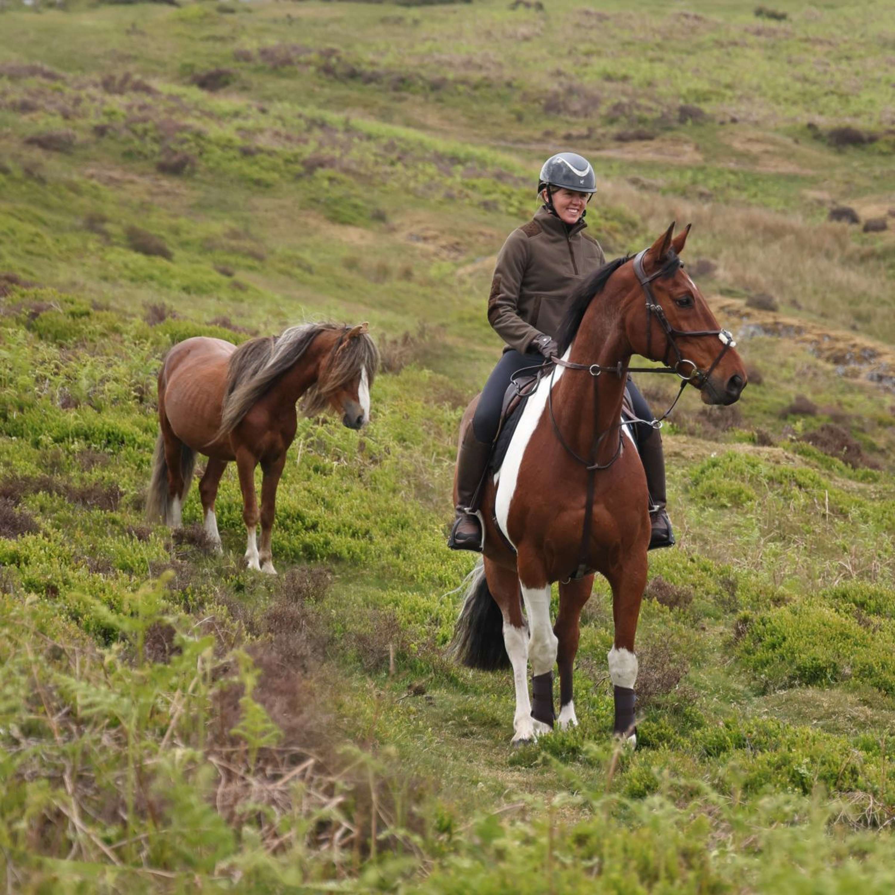 Aubrion by Shires Sweater Heritage Fleece Dark Olive