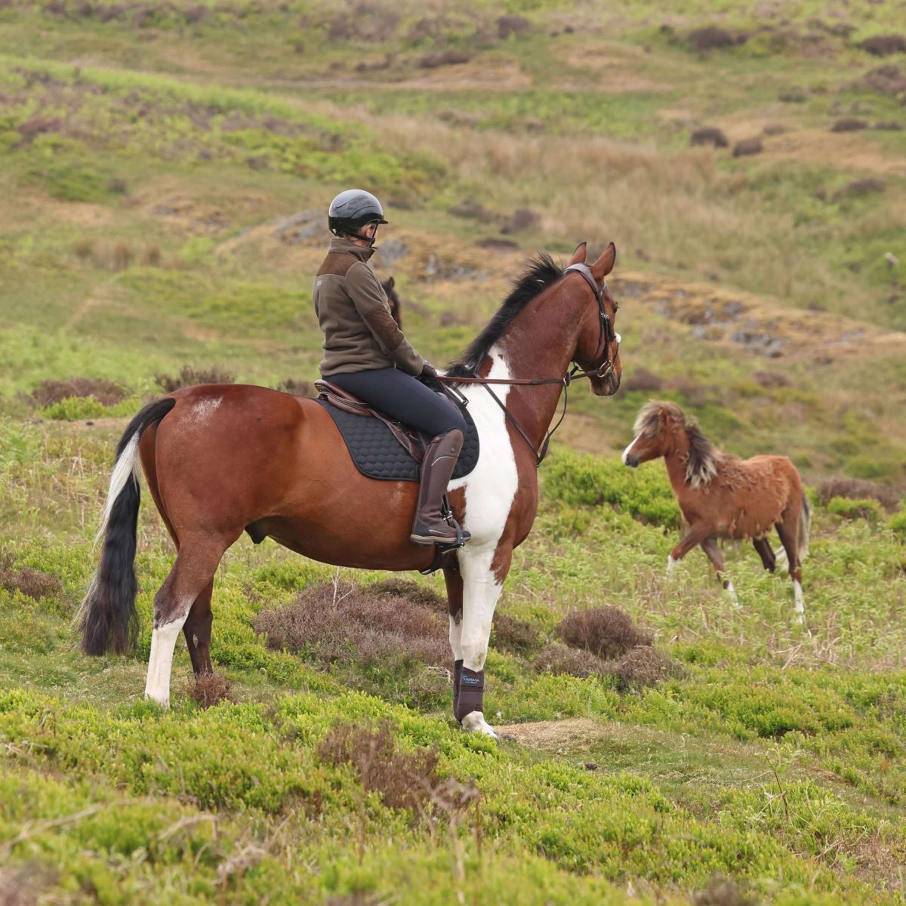 Aubrion by Shires Sweater Heritage Fleece Dark Olive