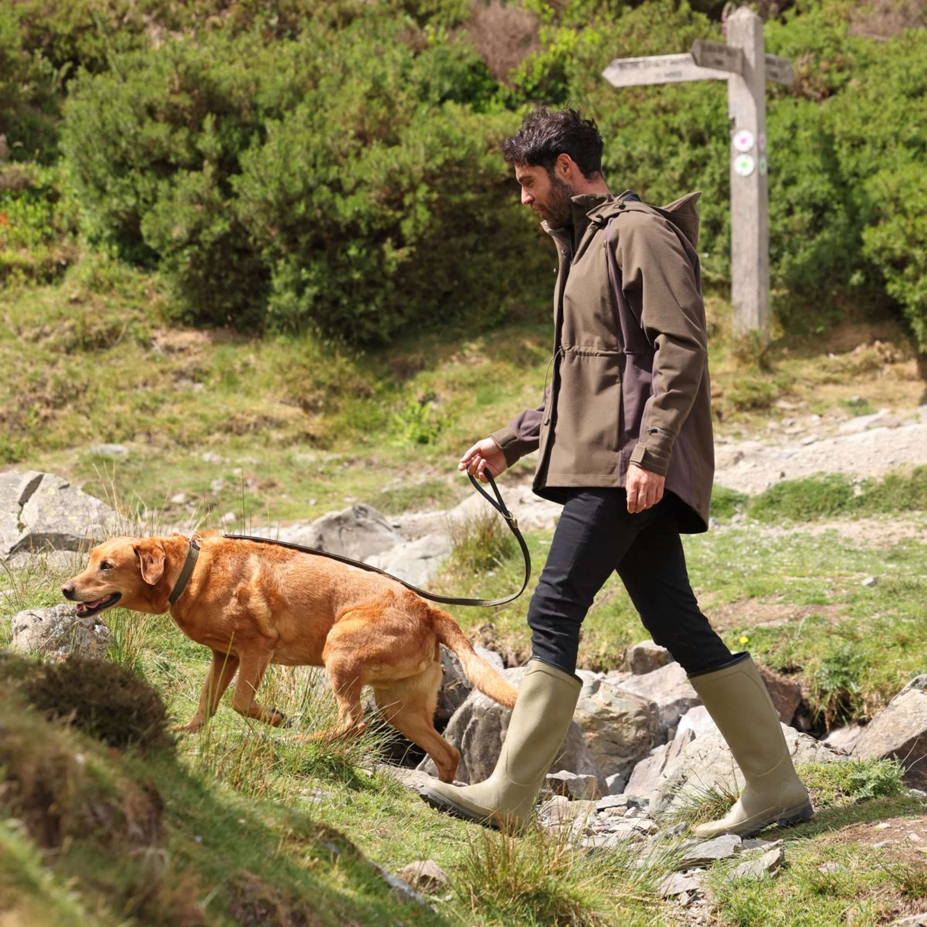 Aubrion by Shires Jacket Heritage Dark Olive