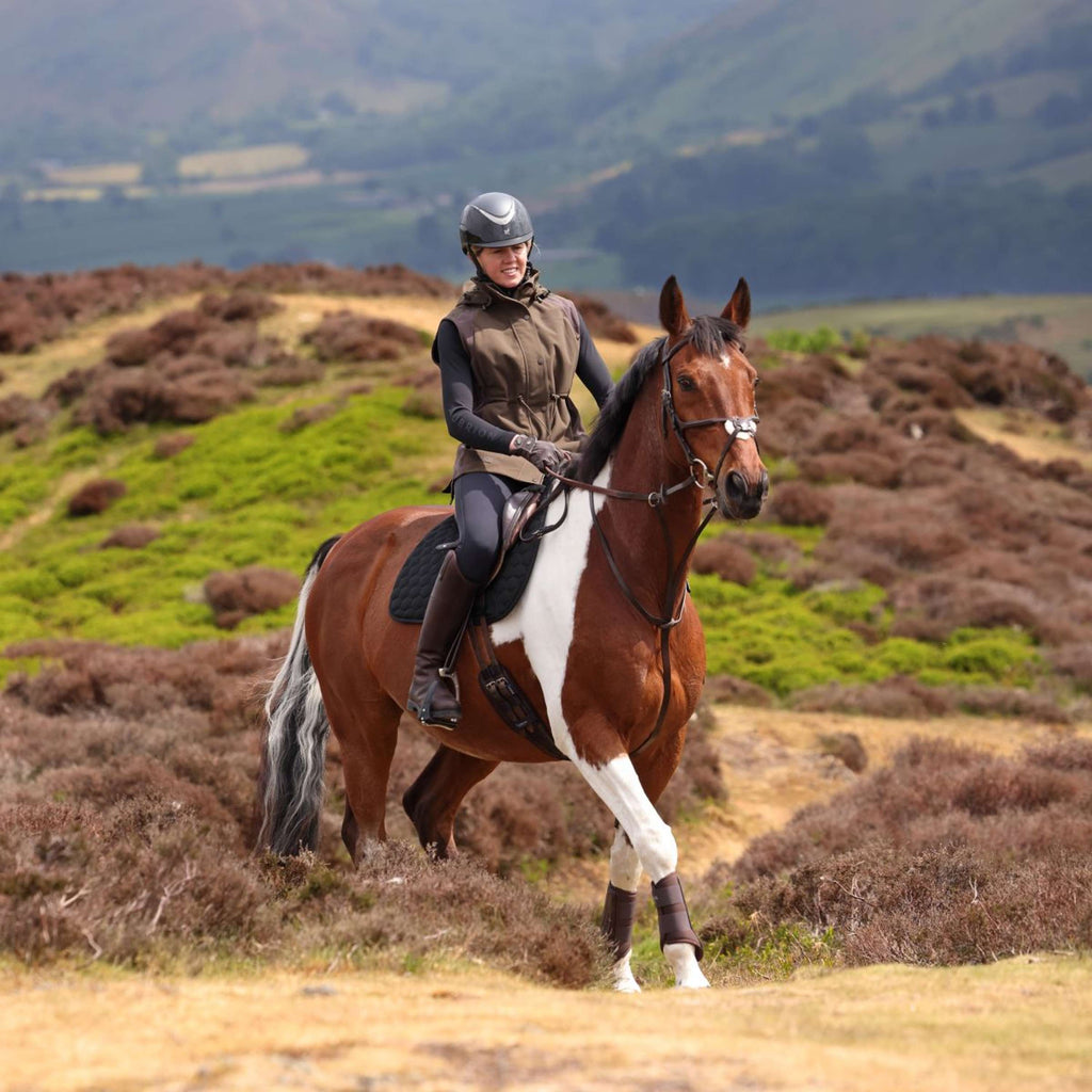 Aubrion by Shires Bodywarmer Heritage Dark Olive