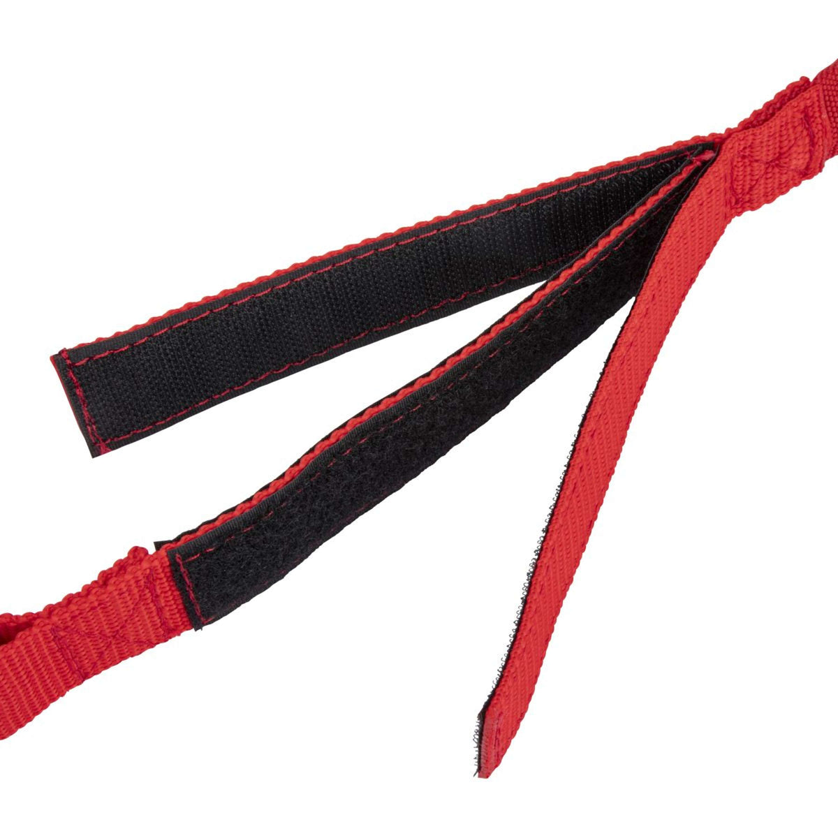 Shires Ribbon Tie Bungee Breakaway Red