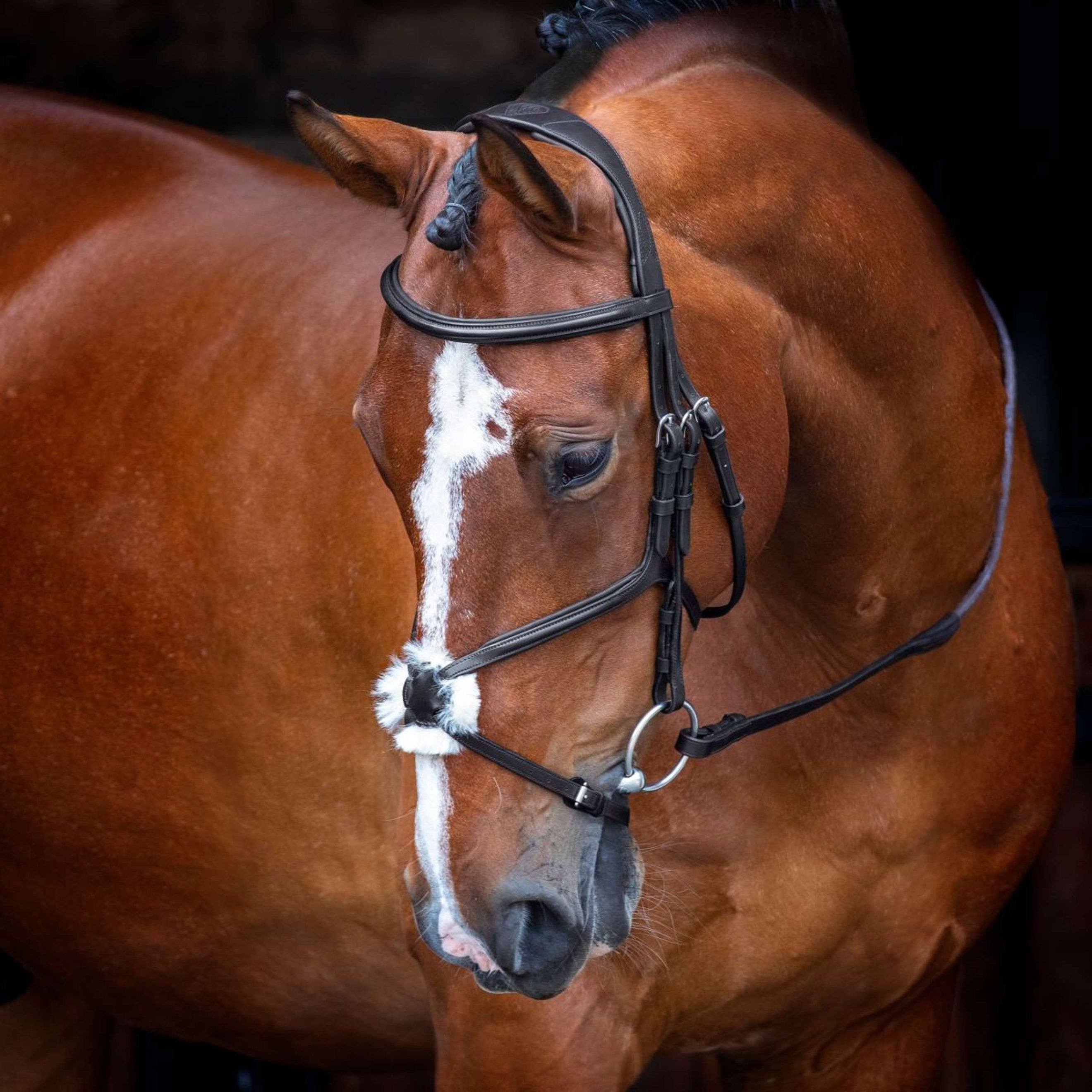 Velociti Bridle Rapida Mexican Noseband Black