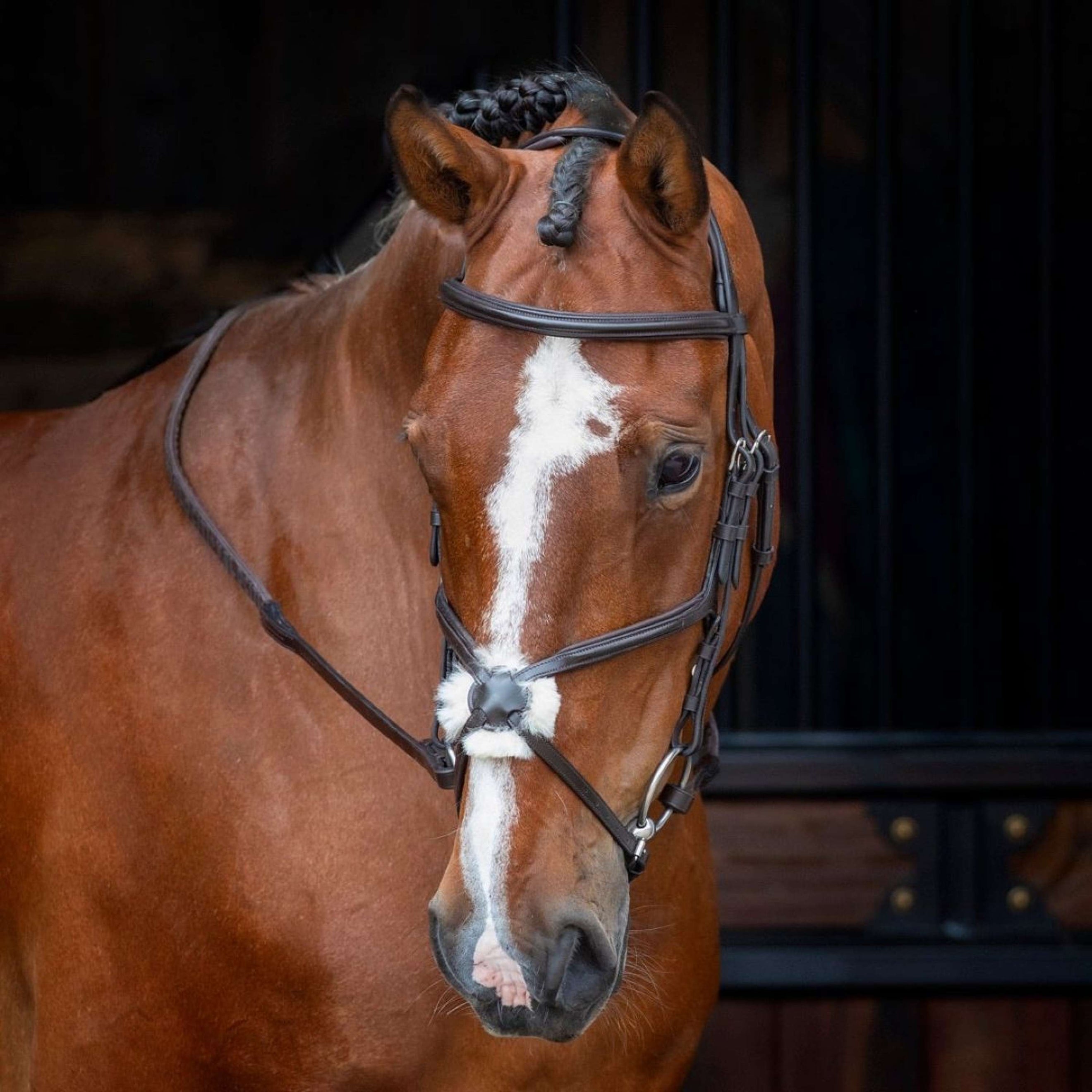 Velociti Bridle Rapida Mexican Noseband Havana