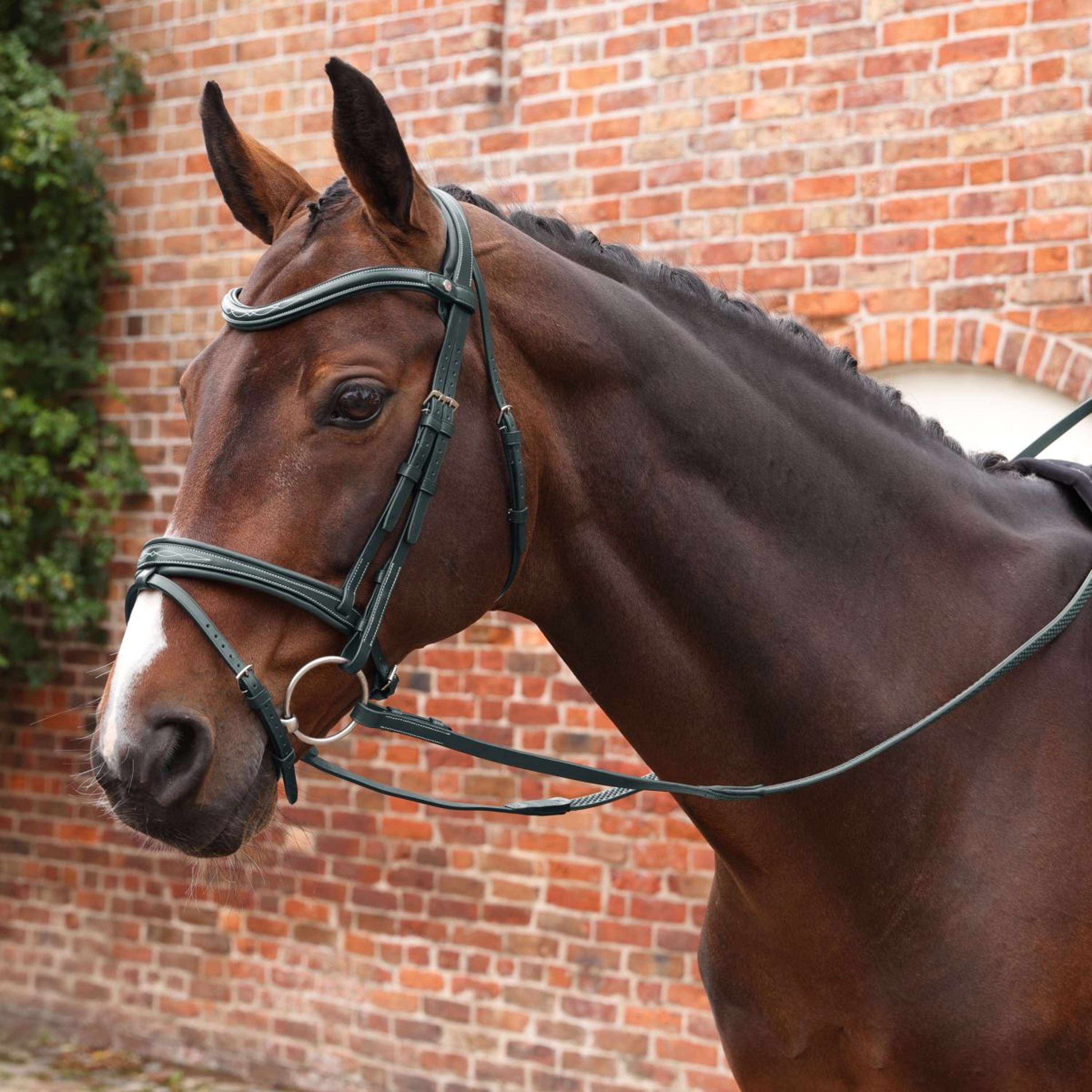 Velociti by Shires Reins Lusso Elite Pro SureGrip Black
