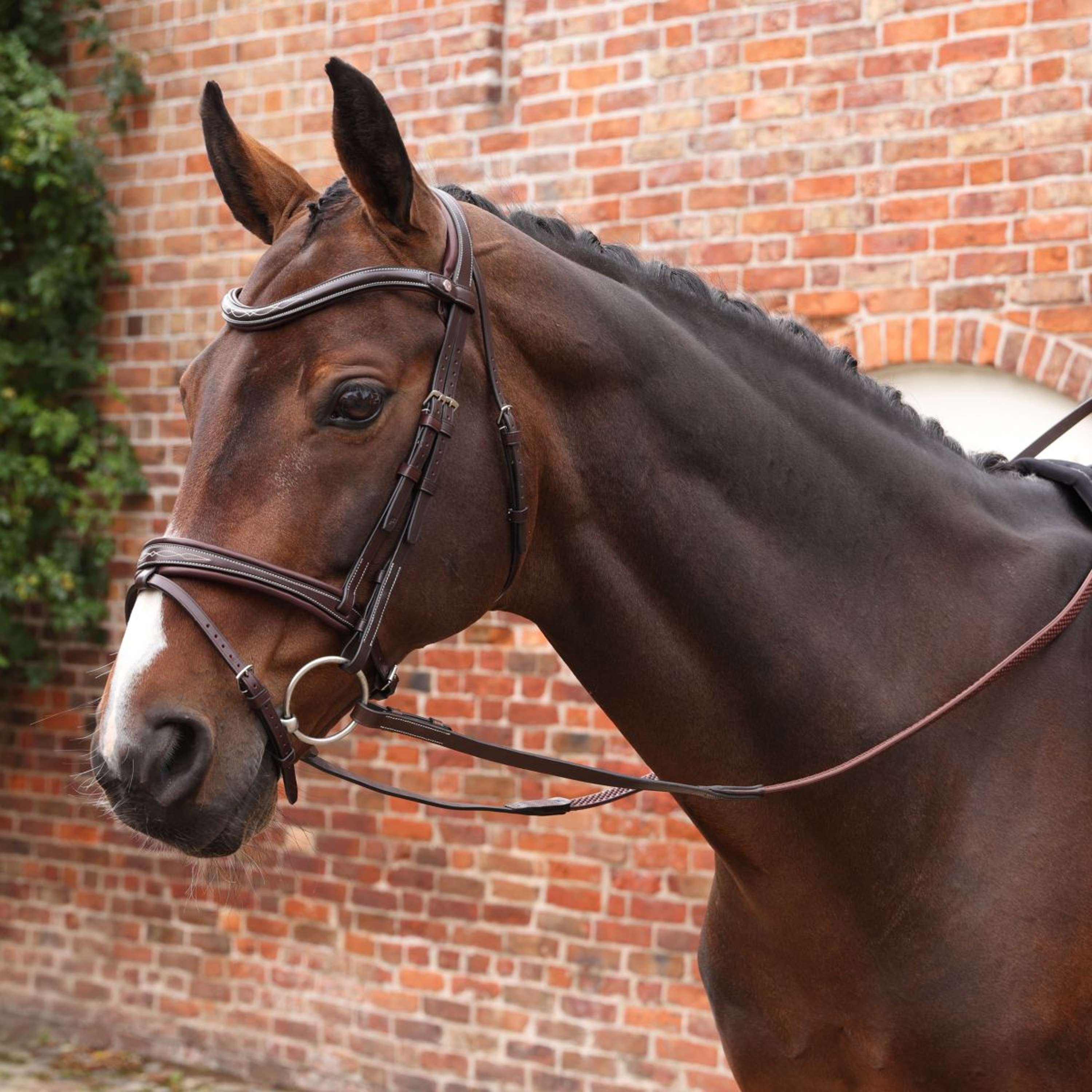 Velociti by Shires Reins Lusso Elite Pro SureGrip Havana