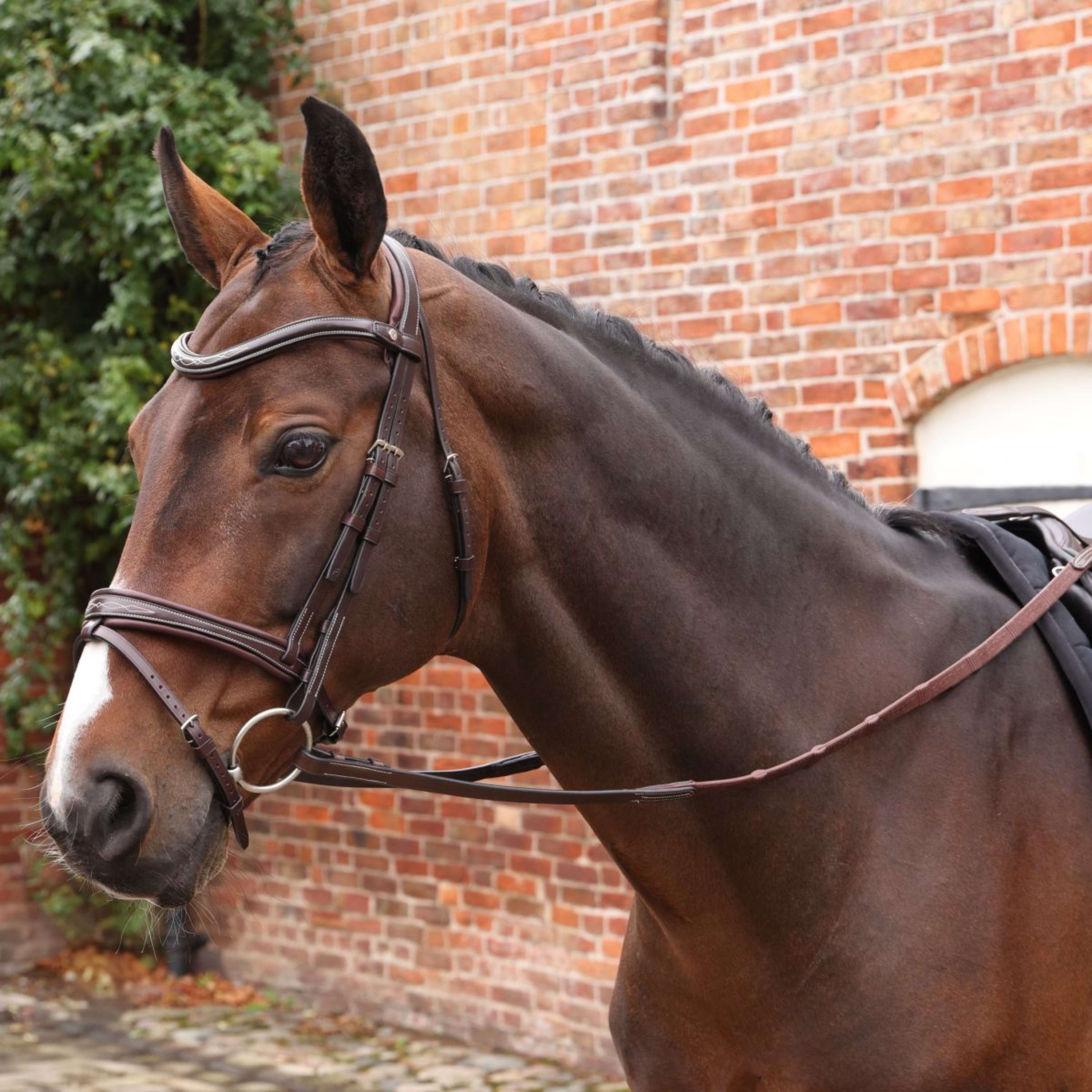 Velociti by Shires Reins Lusso Elite Pro SureGrip Havana