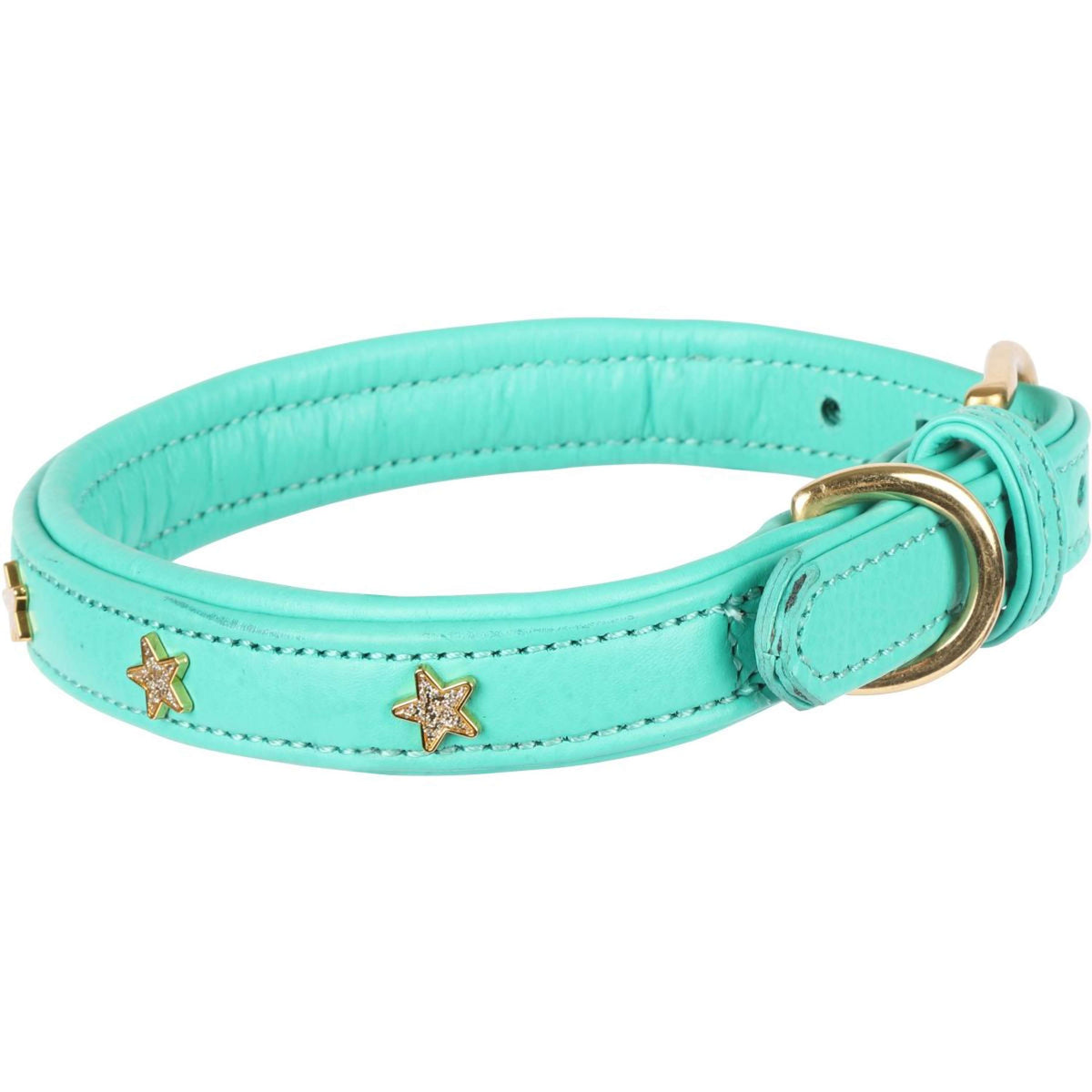 Digby & Fox Dog Collar Star Teal