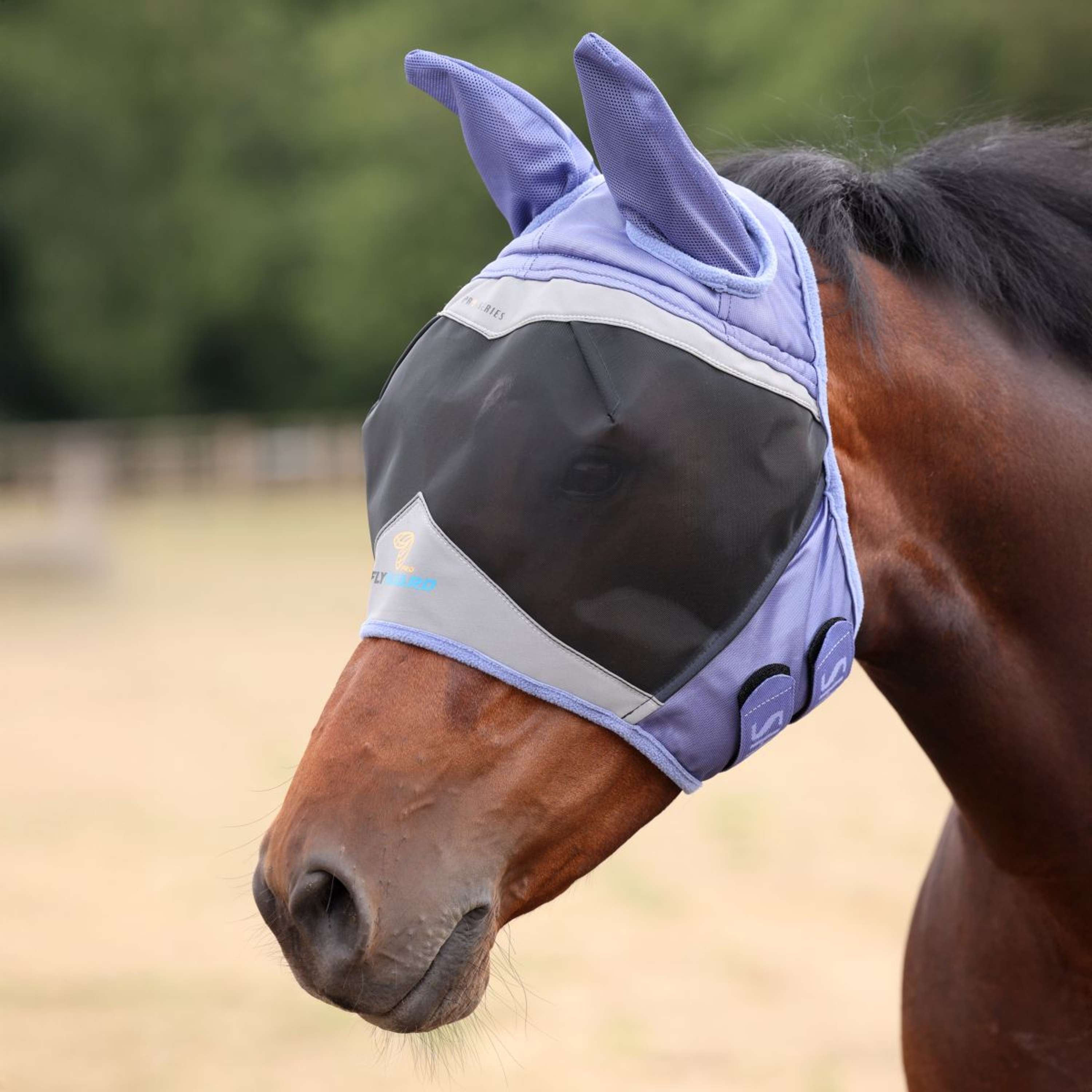 FlyGuard by Shires Fly Mask Pro Fine Mesh with Ears Sky