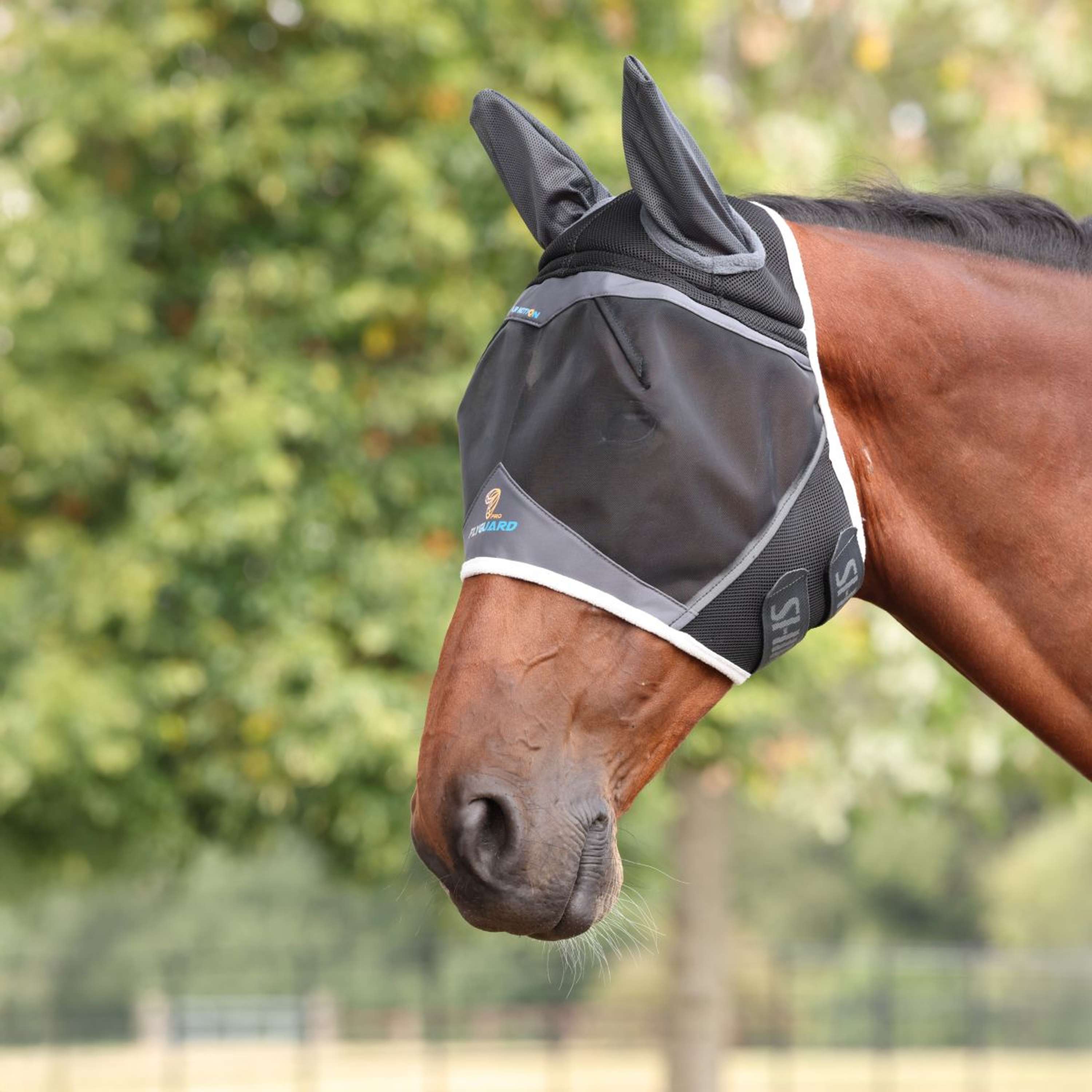 FlyGuard by Shires Fly Mask Pro Air Motion with Ears DarkGrey