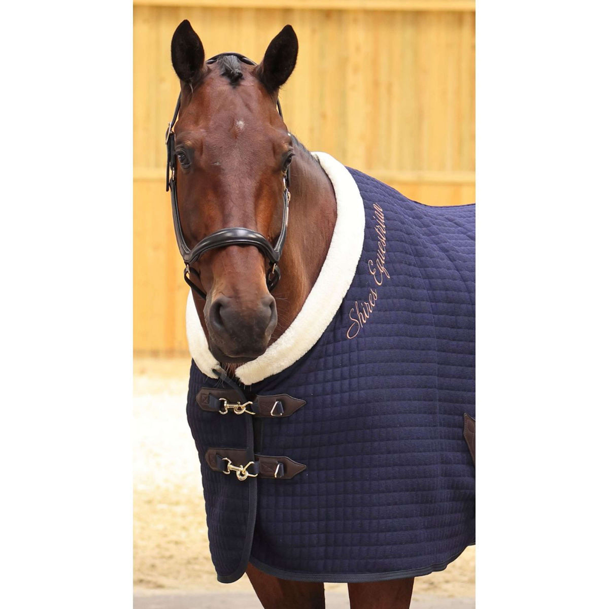 Shires Cooler Tech Deluxe Navy