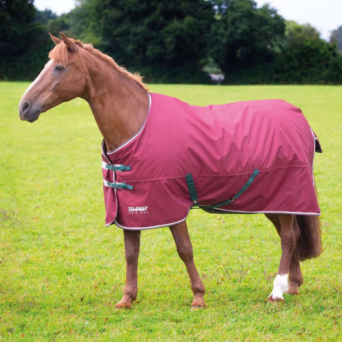 Tempest Original Turnout Rug 200g Maroon