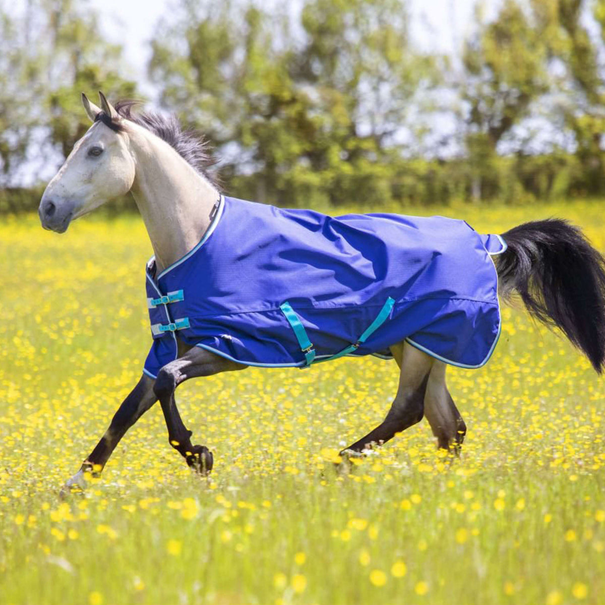 Tempest Original Winter Rug Turnout 100g Navy