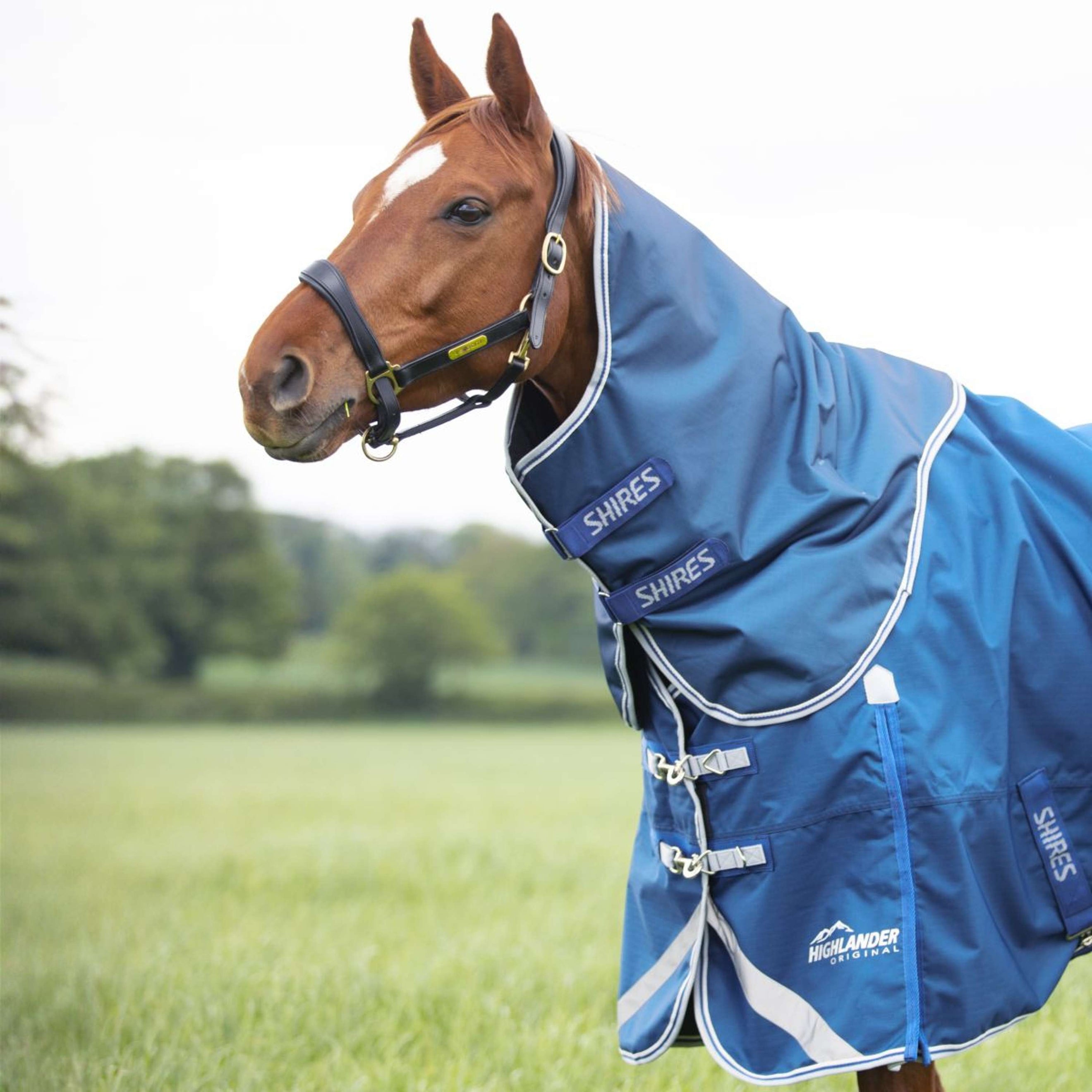 Highlander Original by Shires Neck Cover Turnout 200g Blue