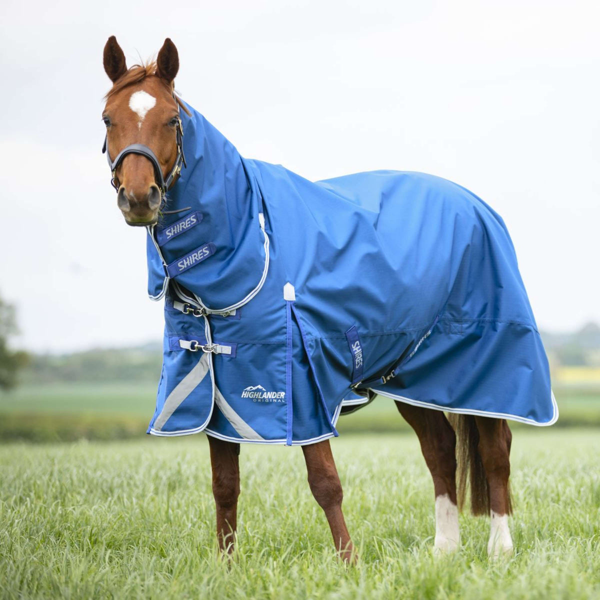 Highlander Original by Shires Winter Rug Turnout 200g Combo Blue