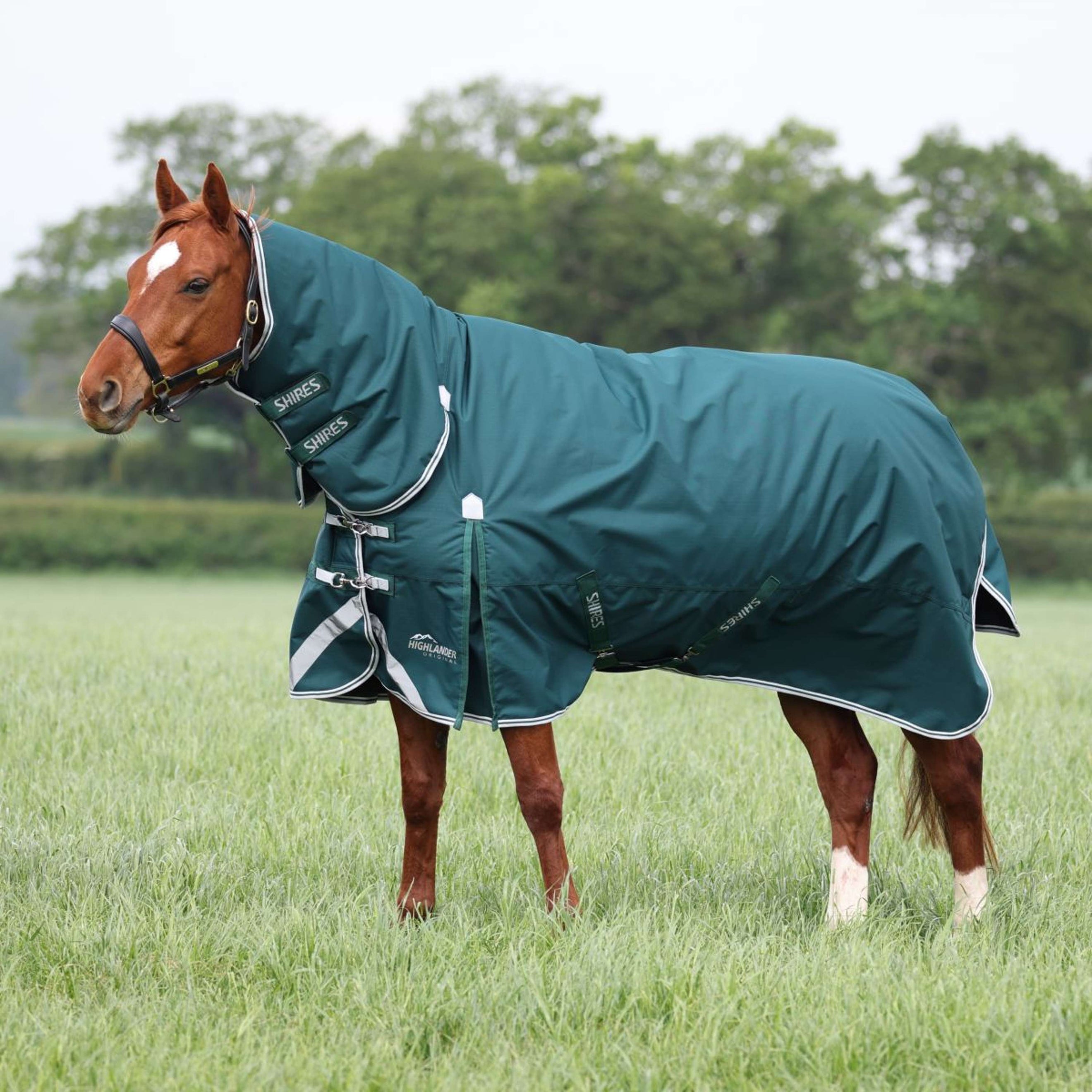 Highlander Original by Shires Winter Rug Turnout Combo 300g Green