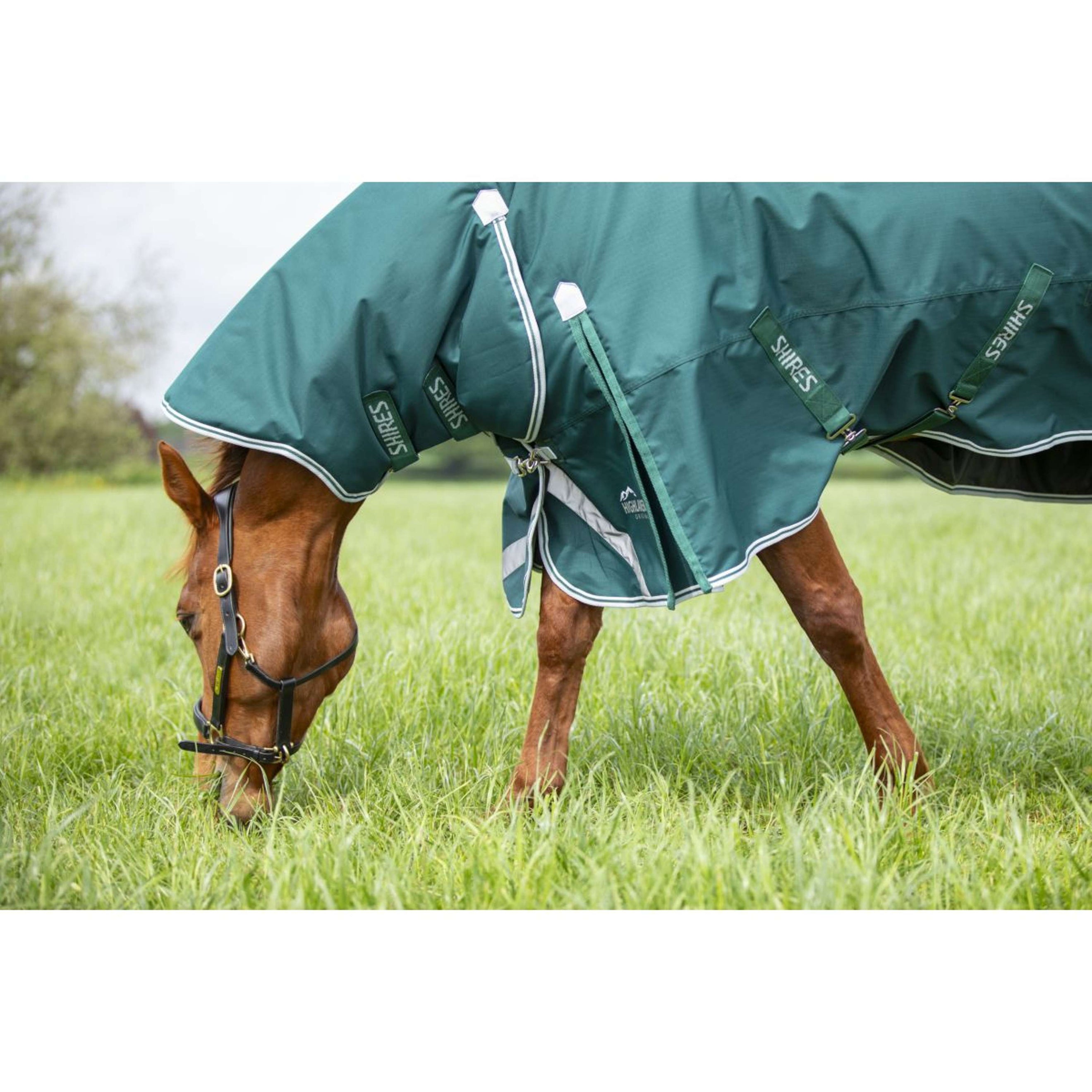 Highlander Original by Shires Neck Cover Turnout 300g Green