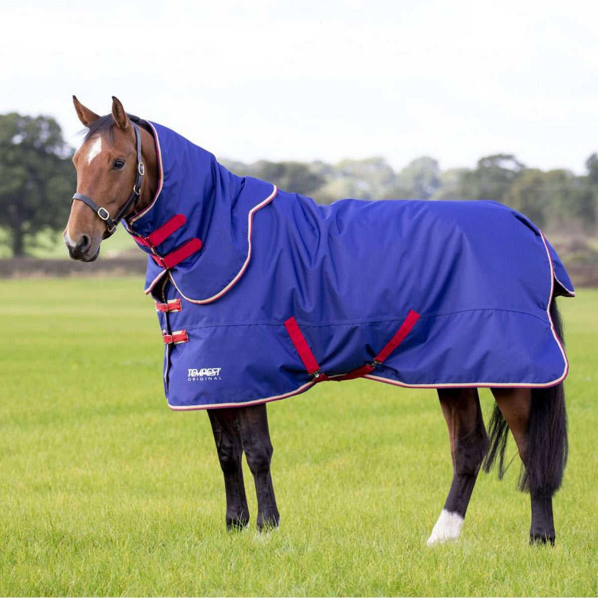 Tempest Original Turnout Rug & Neck 100g Navy