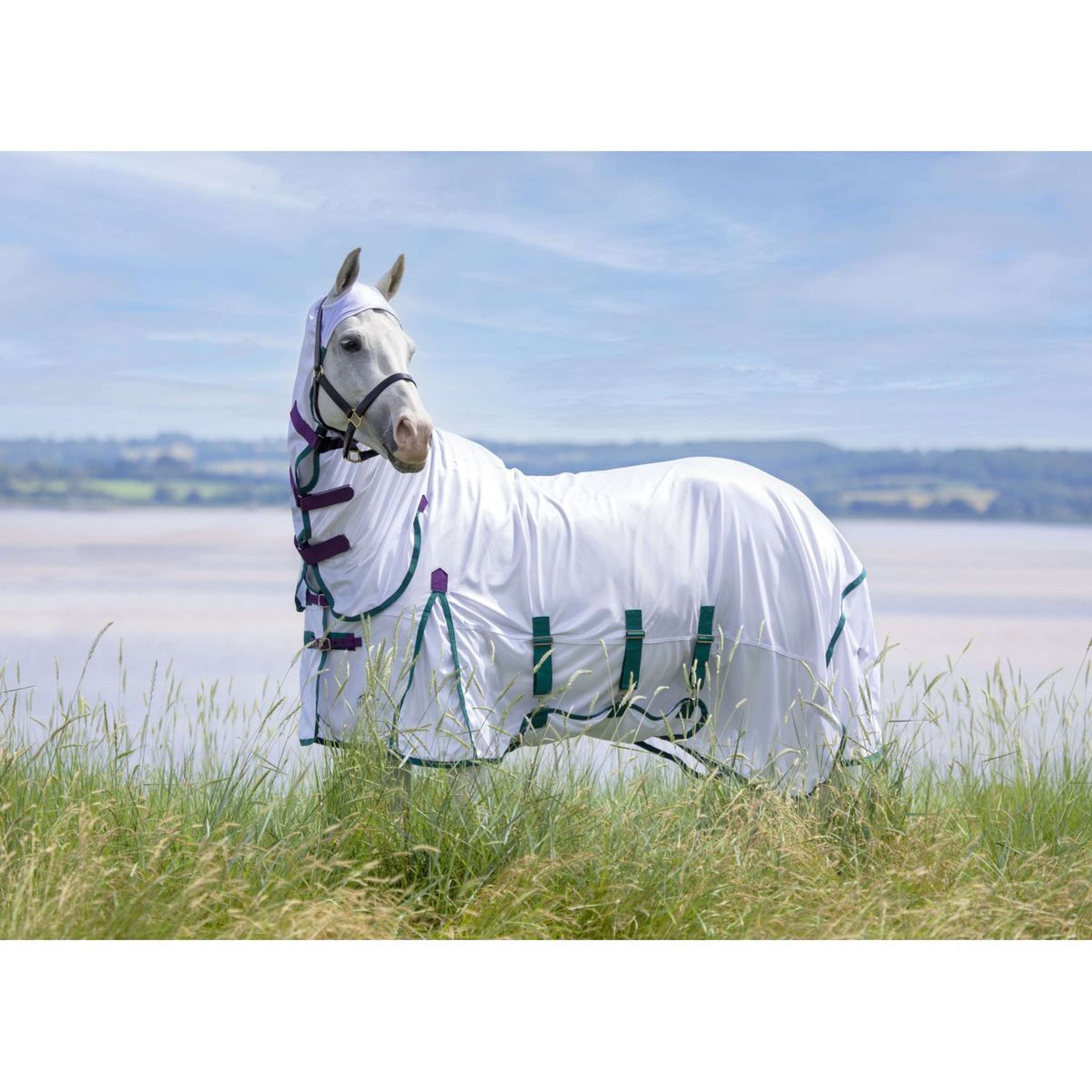 Highlander Plus Fly Rug Combo White/Black Cherry