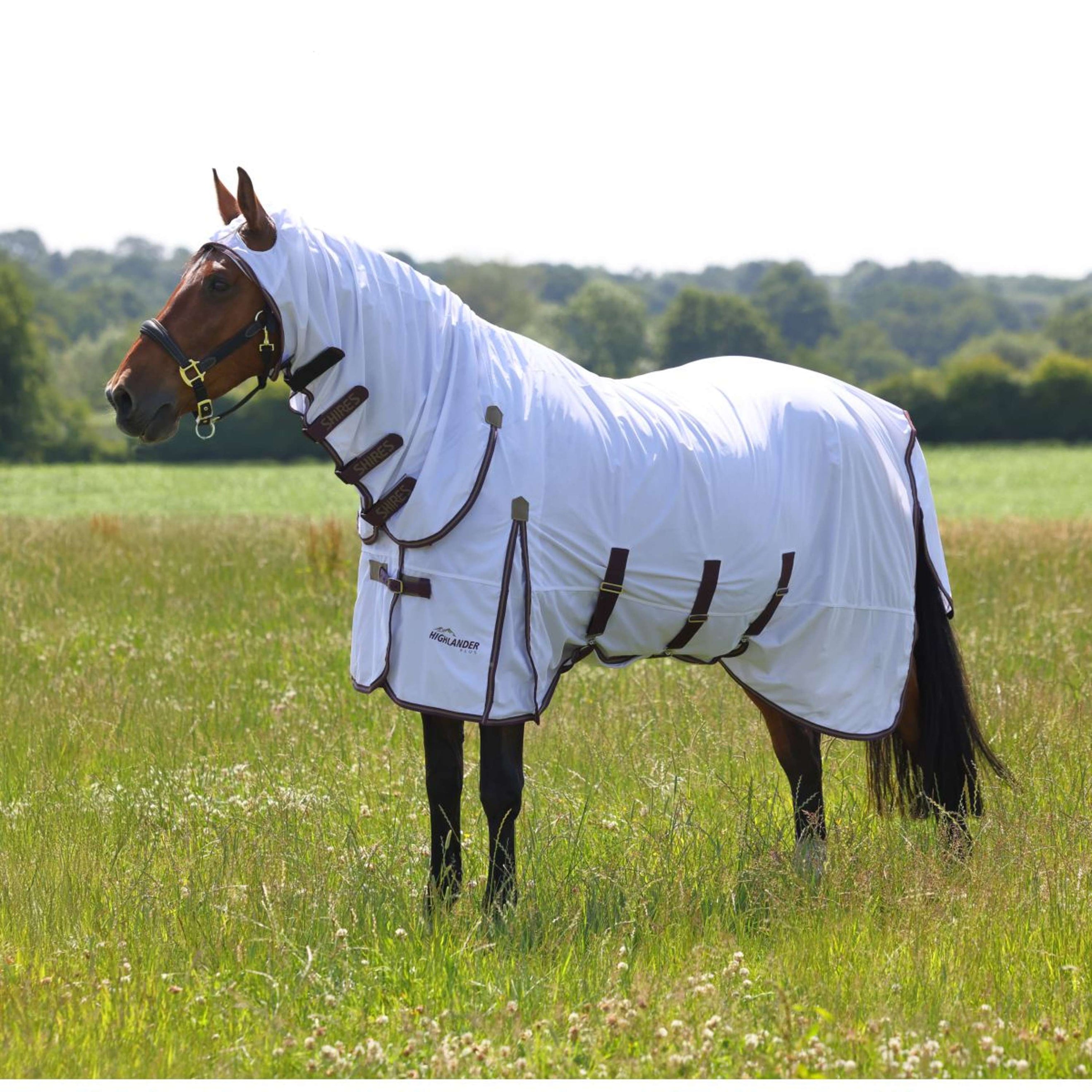 Highlander Plus Fly Rug Combo White/Black Cherry