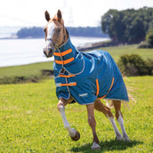 Tempest Original Rain Rug Turnout Lite with Hood Teal