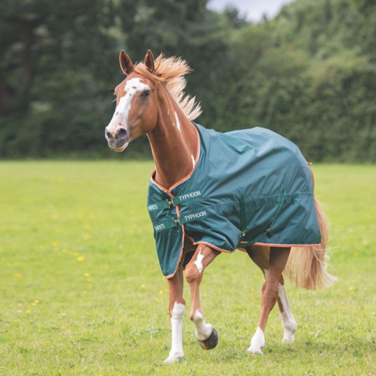 Tempest Rain Rug Typhoon Lite Green