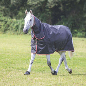 Tempest Winter Rug Turnout Typhoon Combo 200g Black