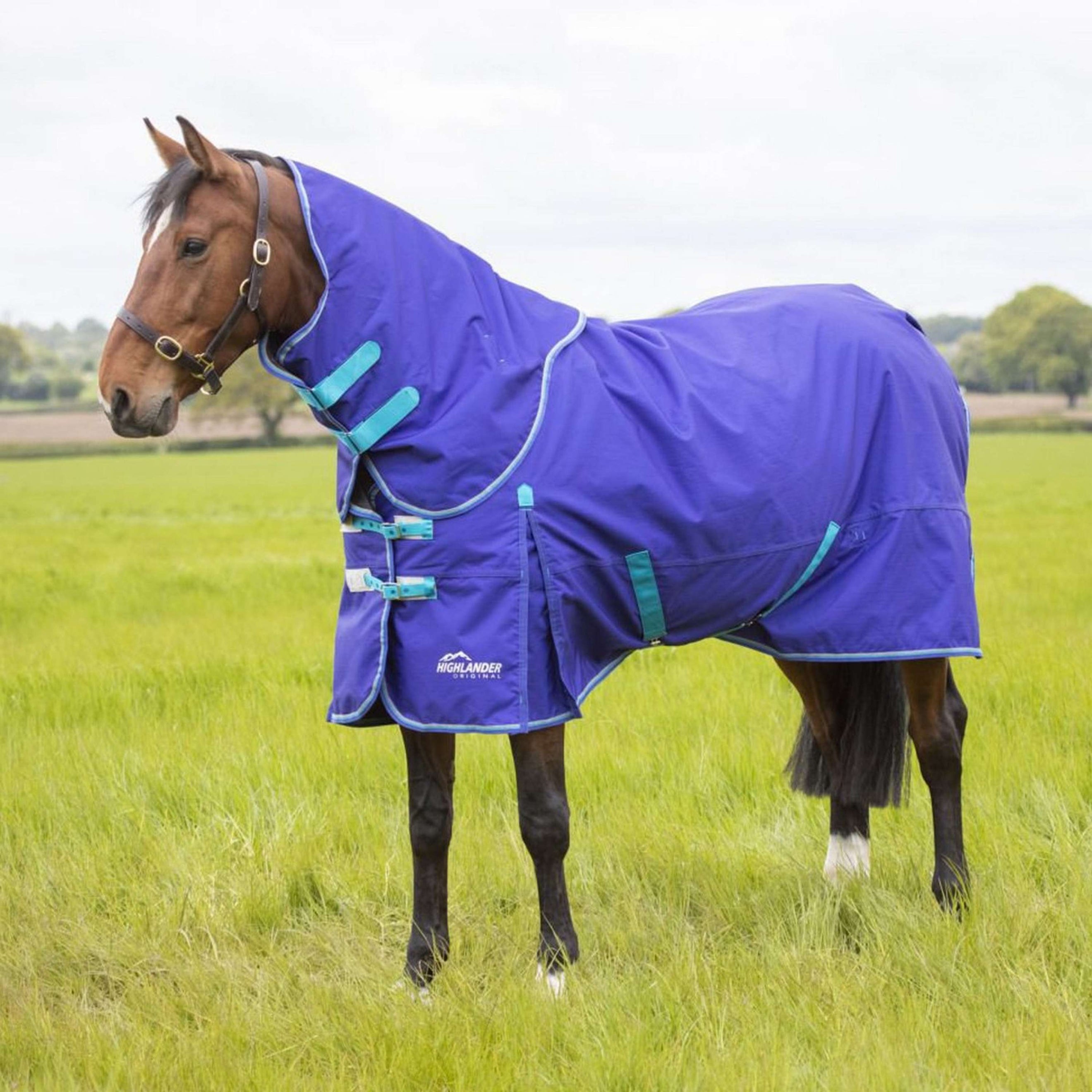 Highlander Original Winter Rug Turnout 50g with Hood Royal