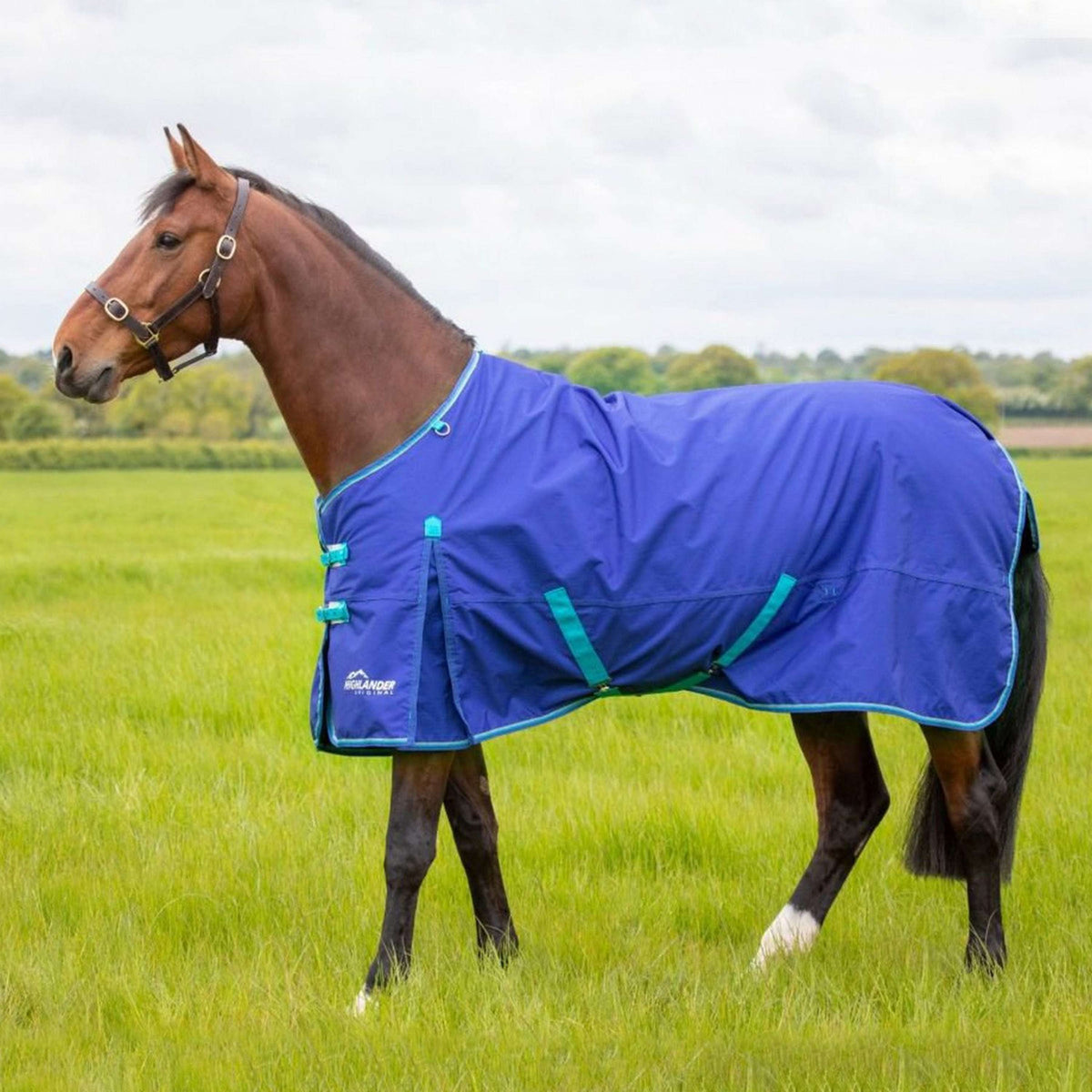 Highlander Original Winter Rug Turnout 50g with Hood Royal