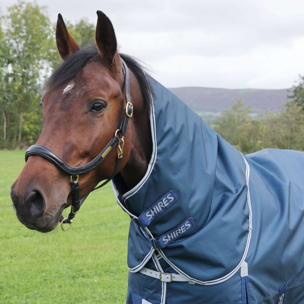 Shires Rain Rug Original 50 Turnout with a Hood Ocean