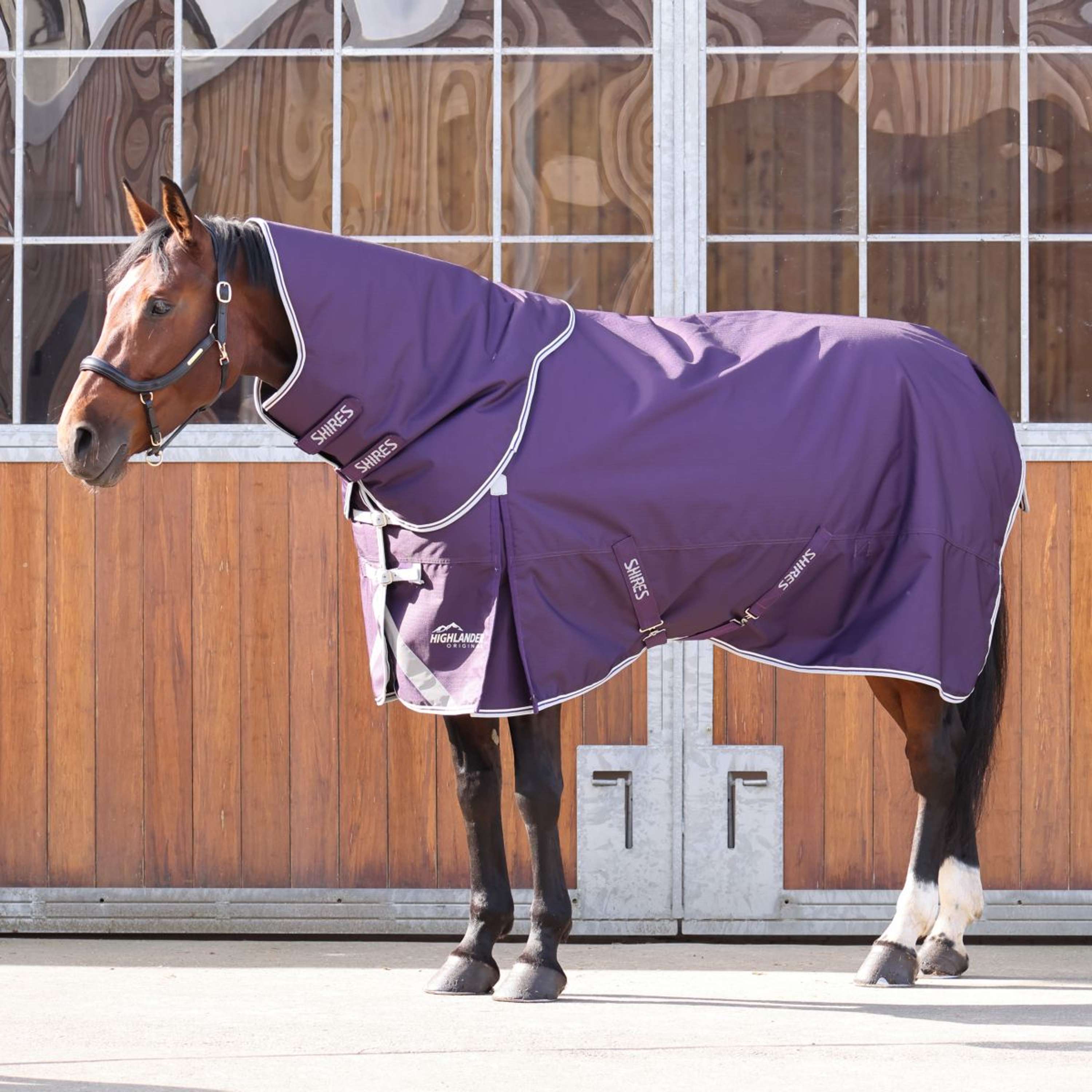 Shires Outdoor Rug Original 100g Turnout with a Hood