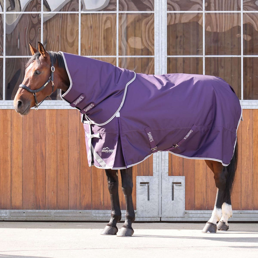 Shires Outdoor Rug Original 100g Turnout with a Hood