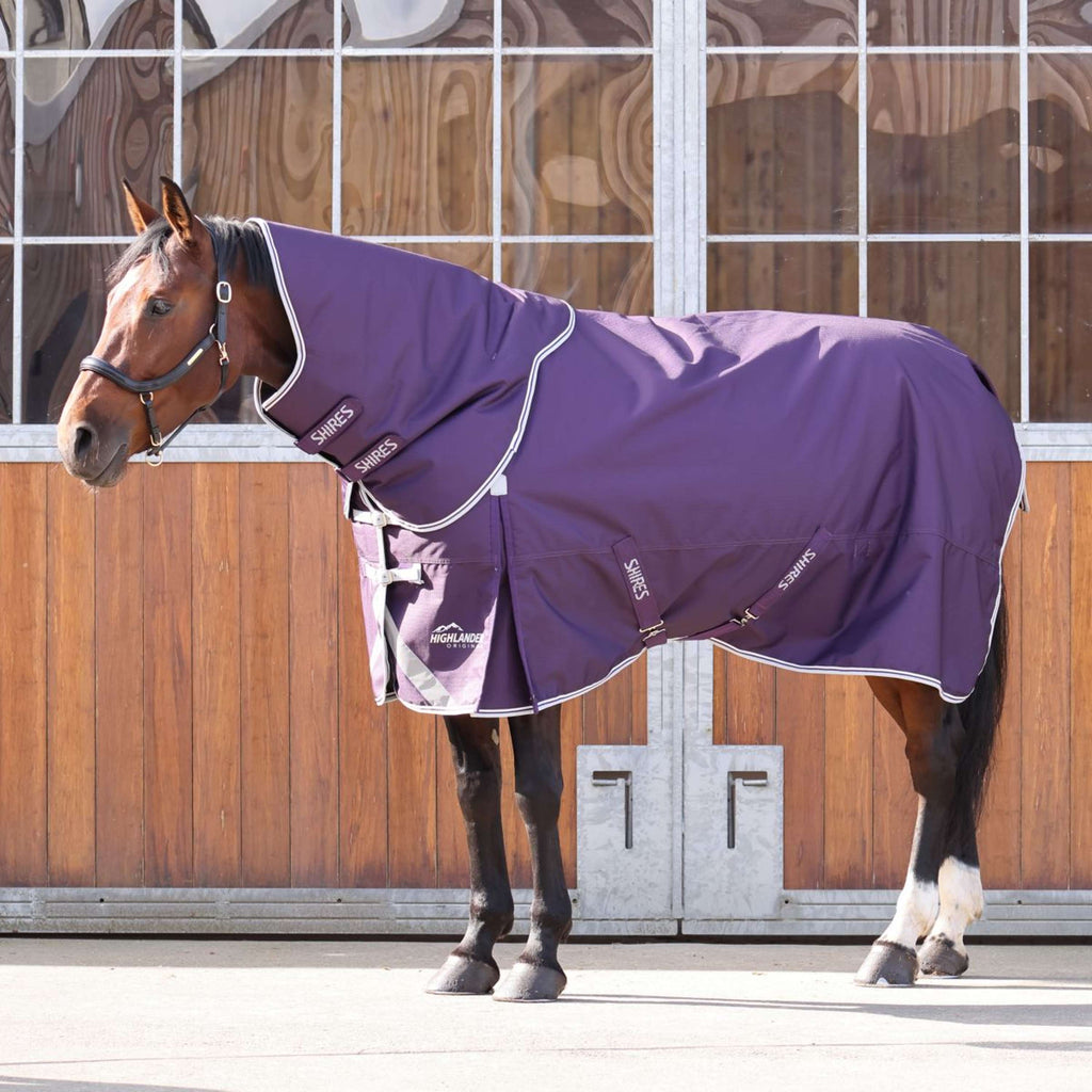 Shires Outdoor Rug Original 100g Turnout with a Hood