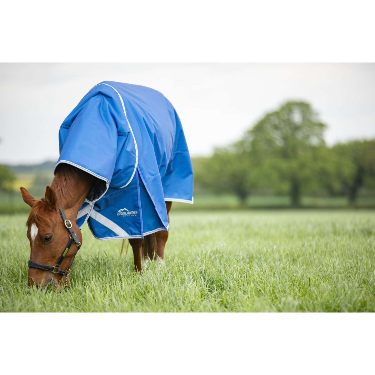 Highlander Original by Shires Winter Rug Turnout 200g with Hood Blue